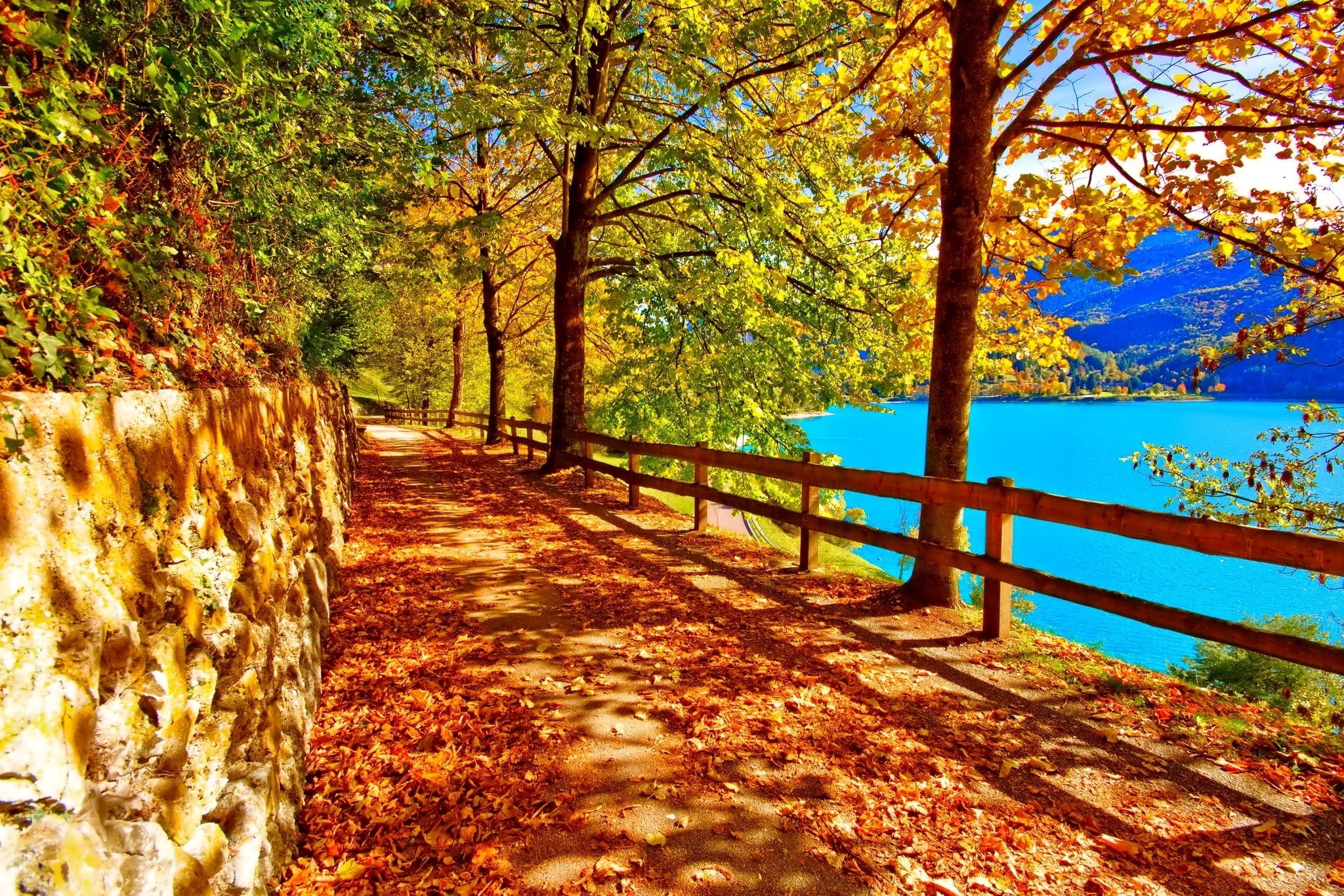 rail, trunk, season, park - Man Made Space, sunlight, lake, landscape, footpath, sky, lush Foliage, travel, nature, multi Colored, woodland, fall, colors, HD Wallpaper