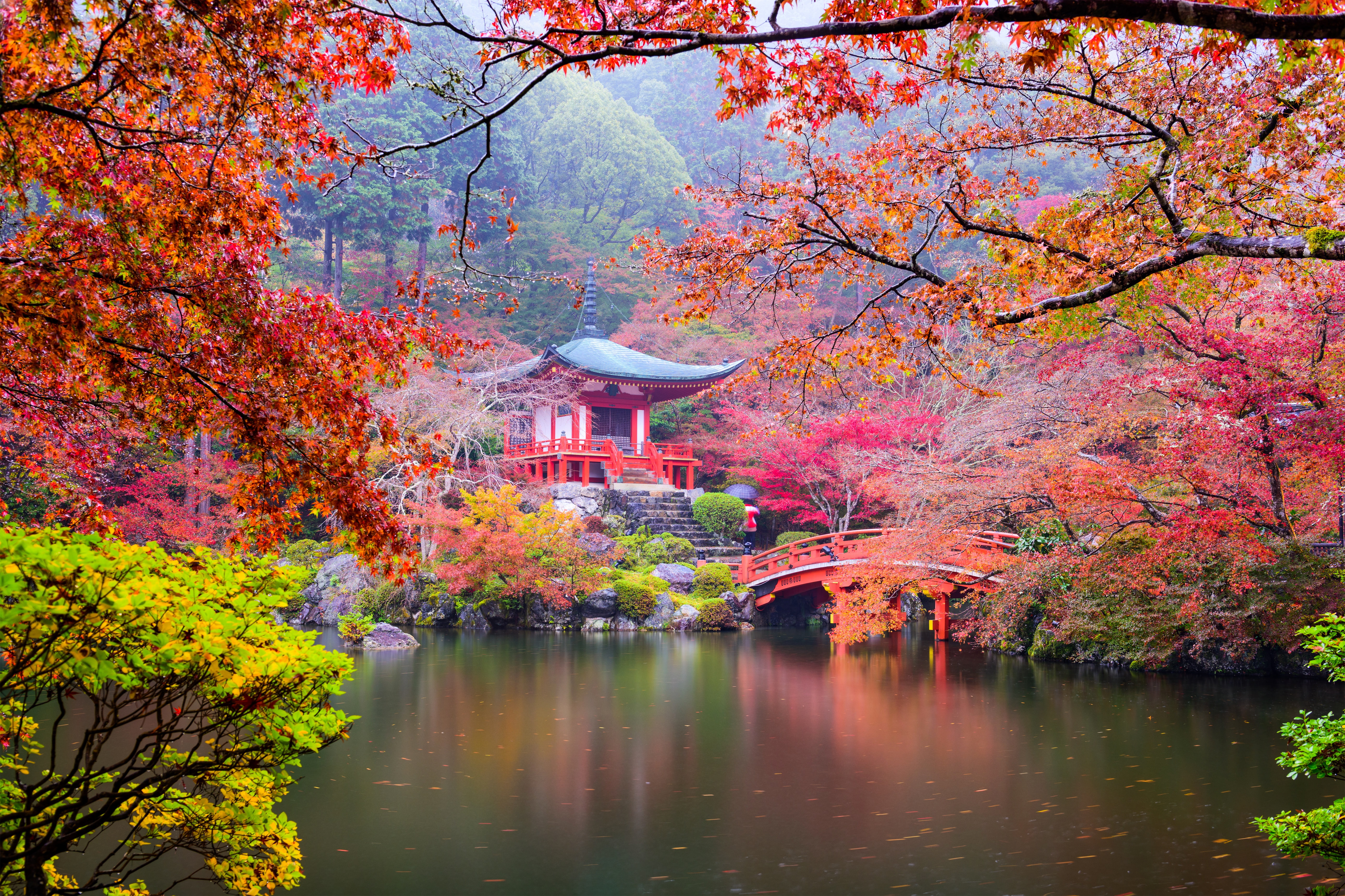 japanese Fall Foliage, Japan, leafed, multi Colored, Park, no people, leaves, tokyo Prefecture, nature, chinese Culture, green, japanese Garden, pavilion, HD Wallpaper
