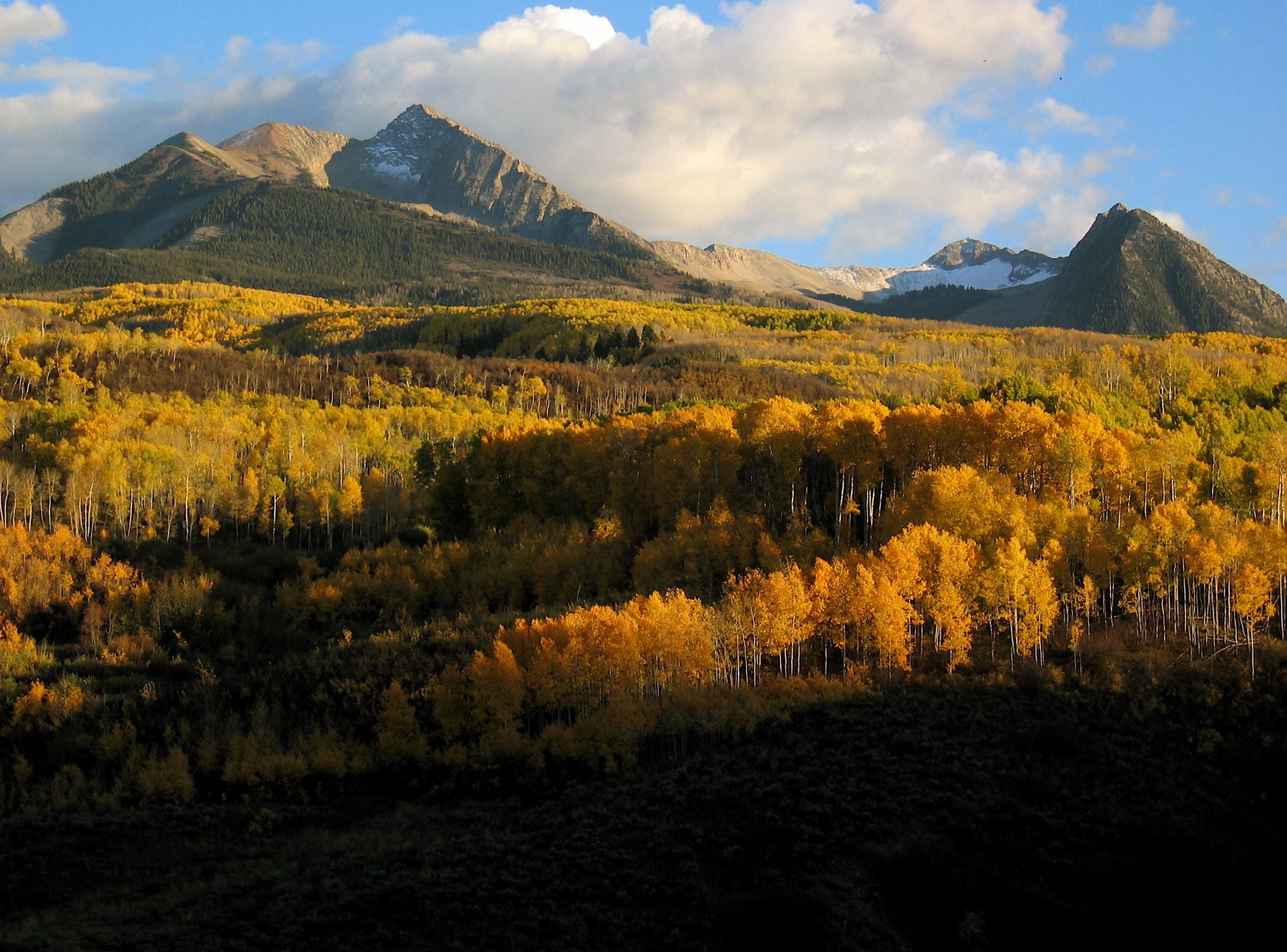 landscape, trees, autumn, mountain, green, beauty In Nature, forest, distance, photography, Fall colors, scenics, leaf, landscape photography, 1080P, yellow, HD Wallpaper