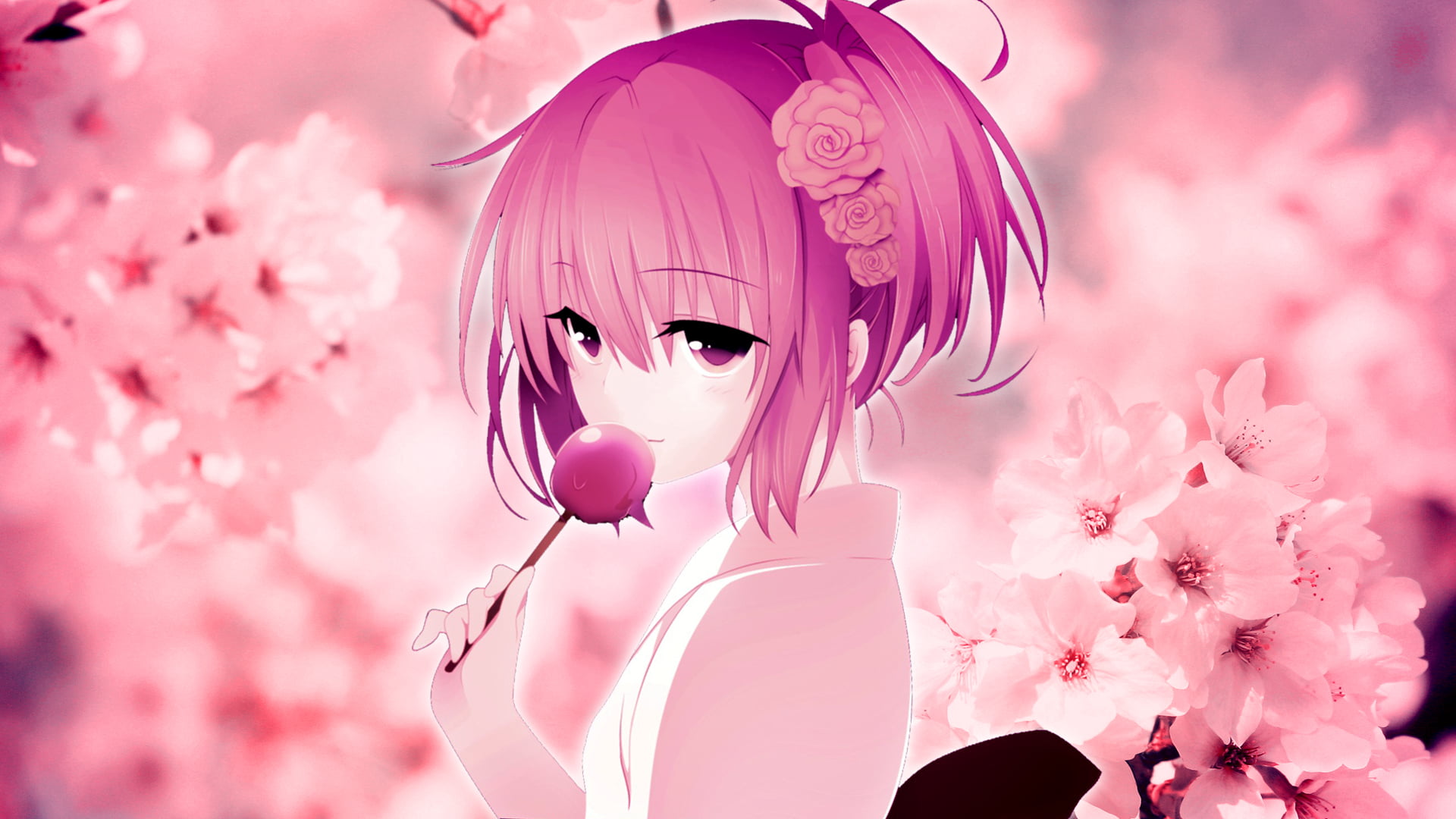 fragility, japan, petal, digital composite, elegance, beauty, 1080P, outdoors, springtime, adult, pink, Sakura, event, japanese Culture, candy on the Desk, HD Wallpaper