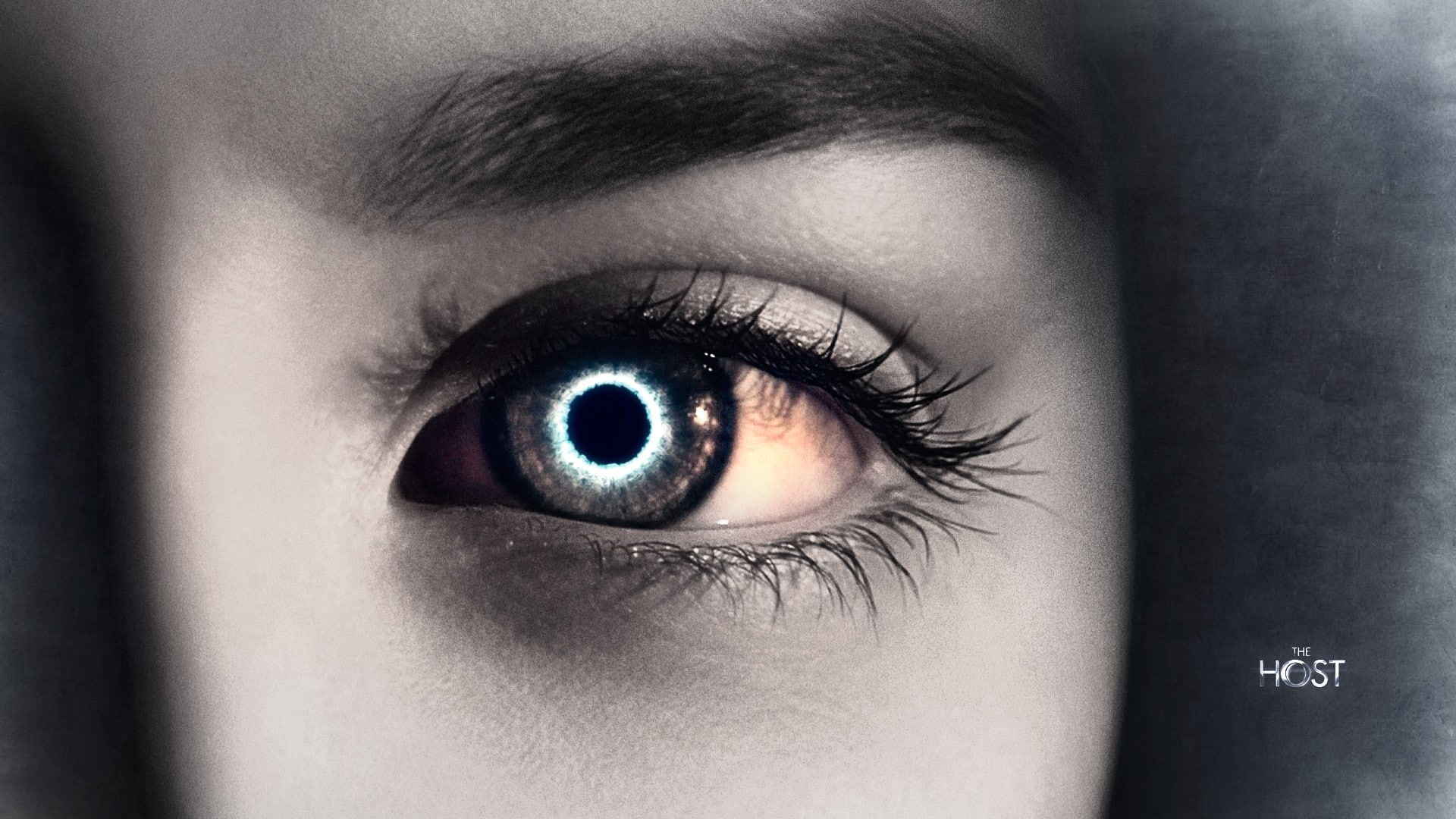 1080P, inscription, background, face, Guest, girl, The Host, host, eyes, Movie, HD Wallpaper