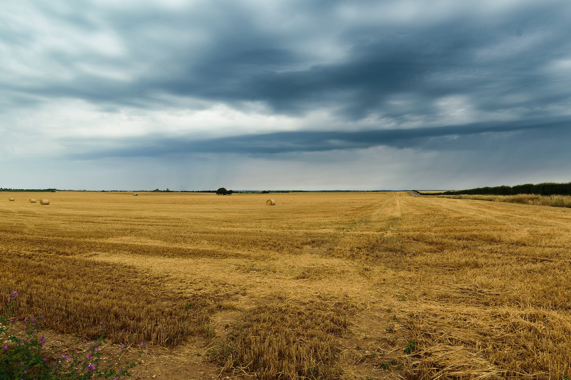 horizon, cloud - sky, grass, bread, autumn, horizon over land, light, clear, outdoor, rain, crop, space, countryside, tranquility, details, view, traditional, HD Wallpaper