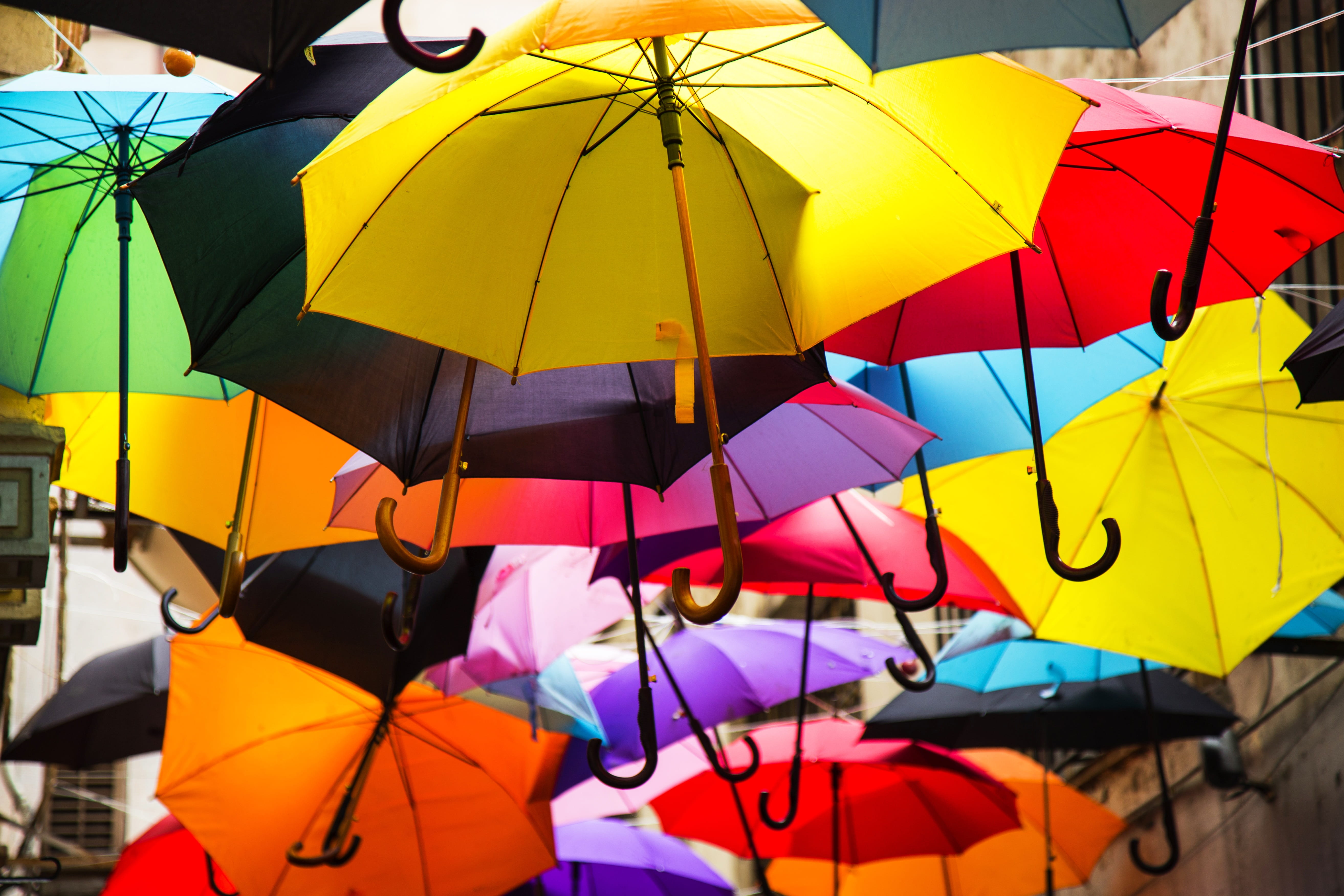 architecture, wet, copy space, assorted, selective focus, group of objects, avenue, vivid color, Landscape, Winter, colors, decoration, background, large group of objects, HD Wallpaper
