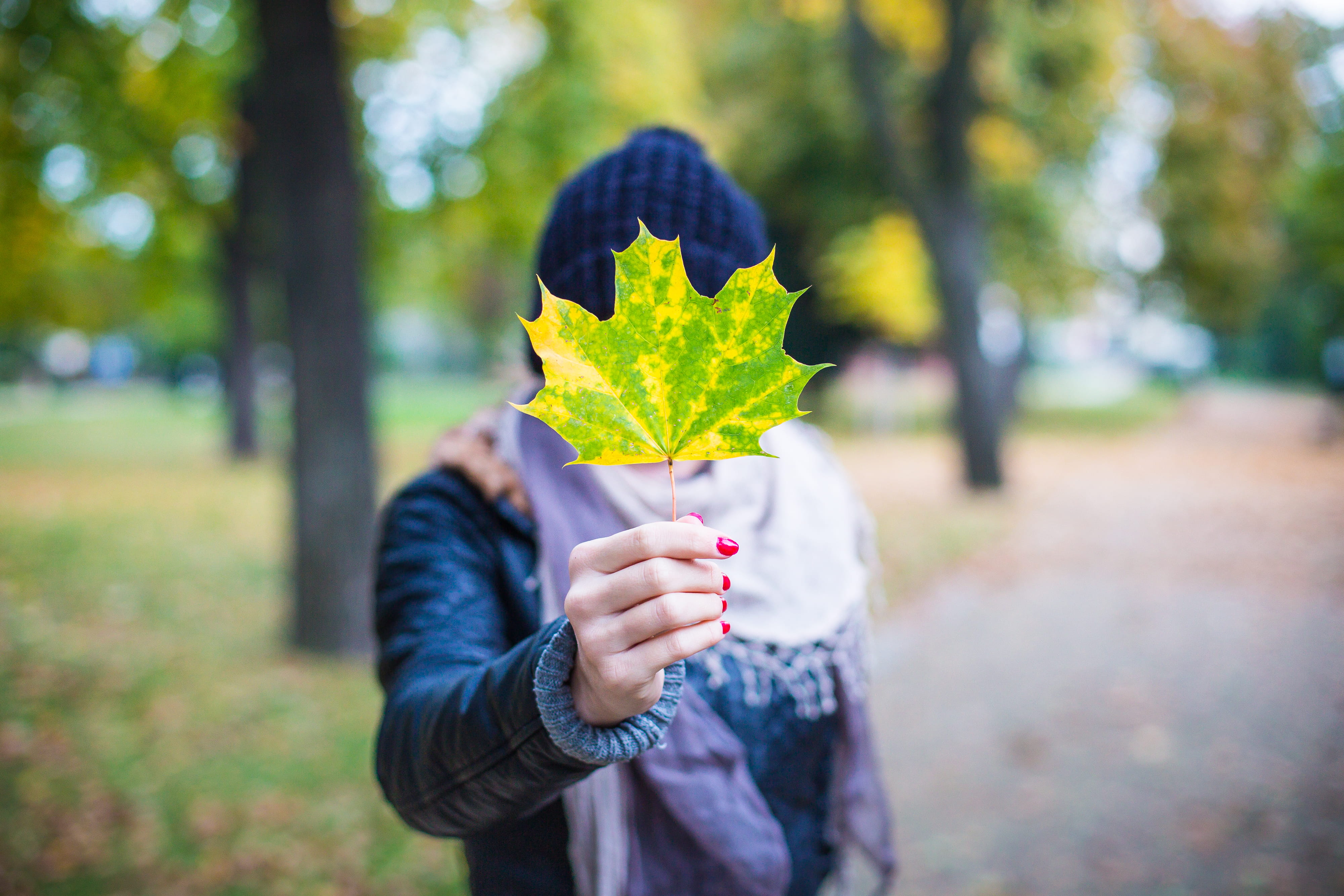 nature, human hand, people, hands, caucasian Ethnicity, casual clothing, standing, plant, season, woman, young, one Person, focus on foreground, front view, HD Wallpaper