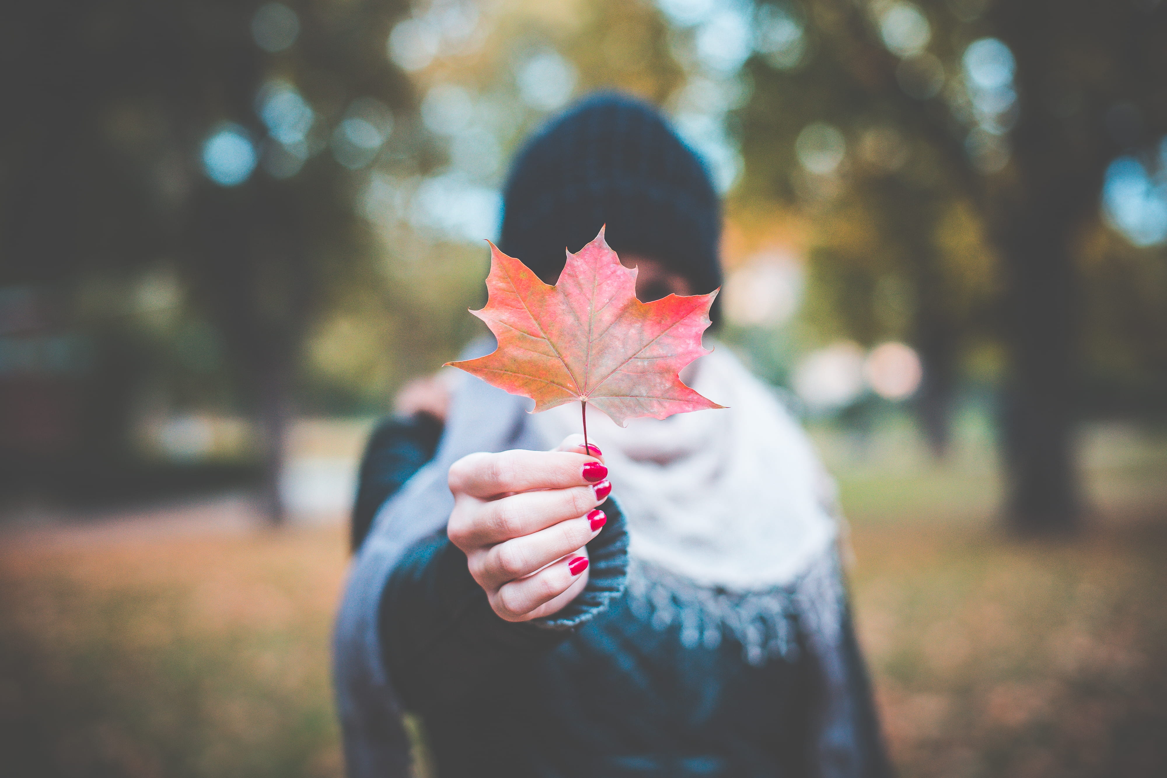4K, focus on foreground, people, maple, hand, females, real people, front view, happiness, Colored, outdoors, woman, unrecognizable person, park, yellow, HD Wallpaper