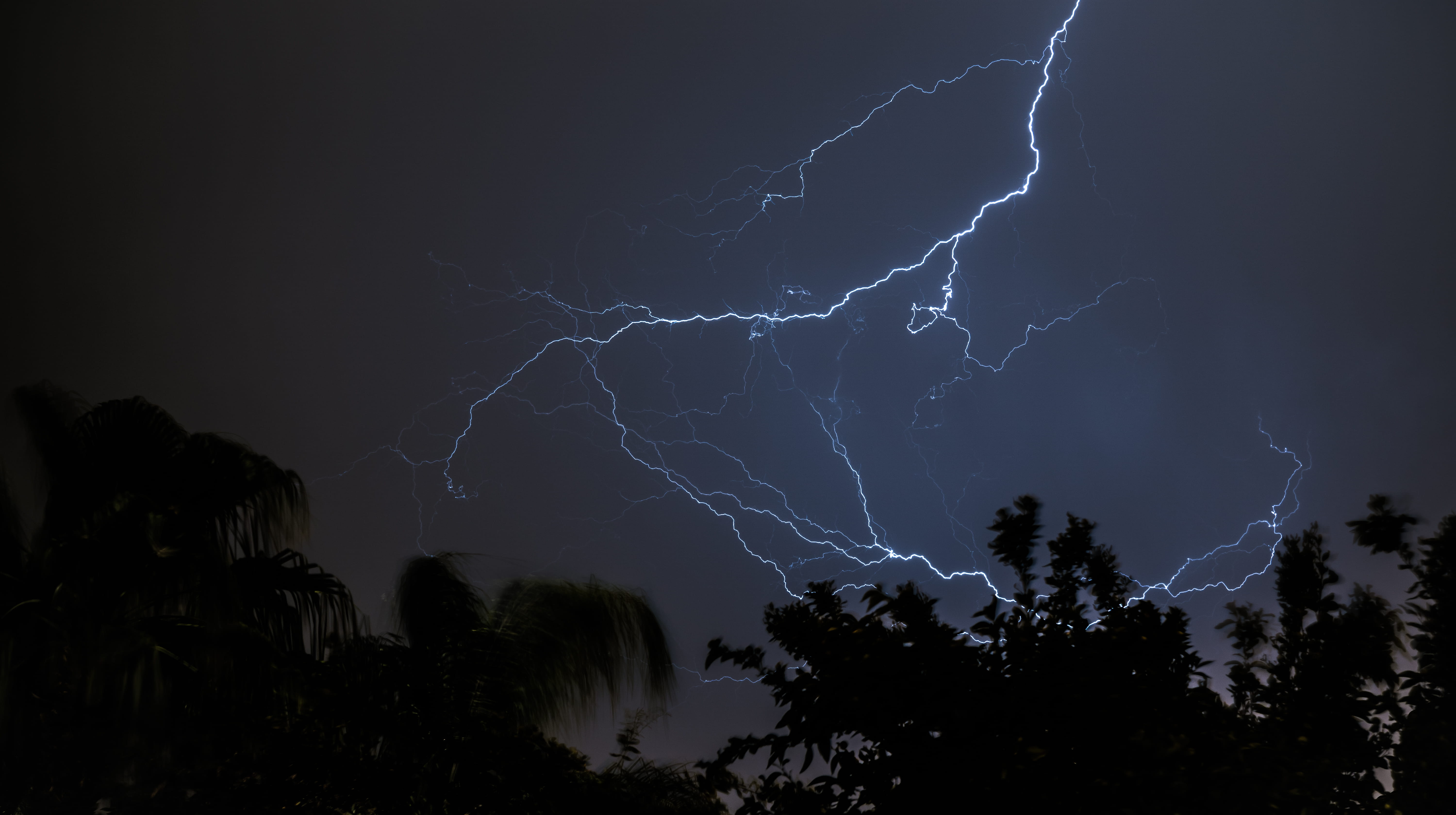 power in nature, dramatic sky, black, beauty in nature, forked lightning, storm, tree, communication, ominous, silhouette, electricity, 5K, dark, meteorology, HD Wallpaper