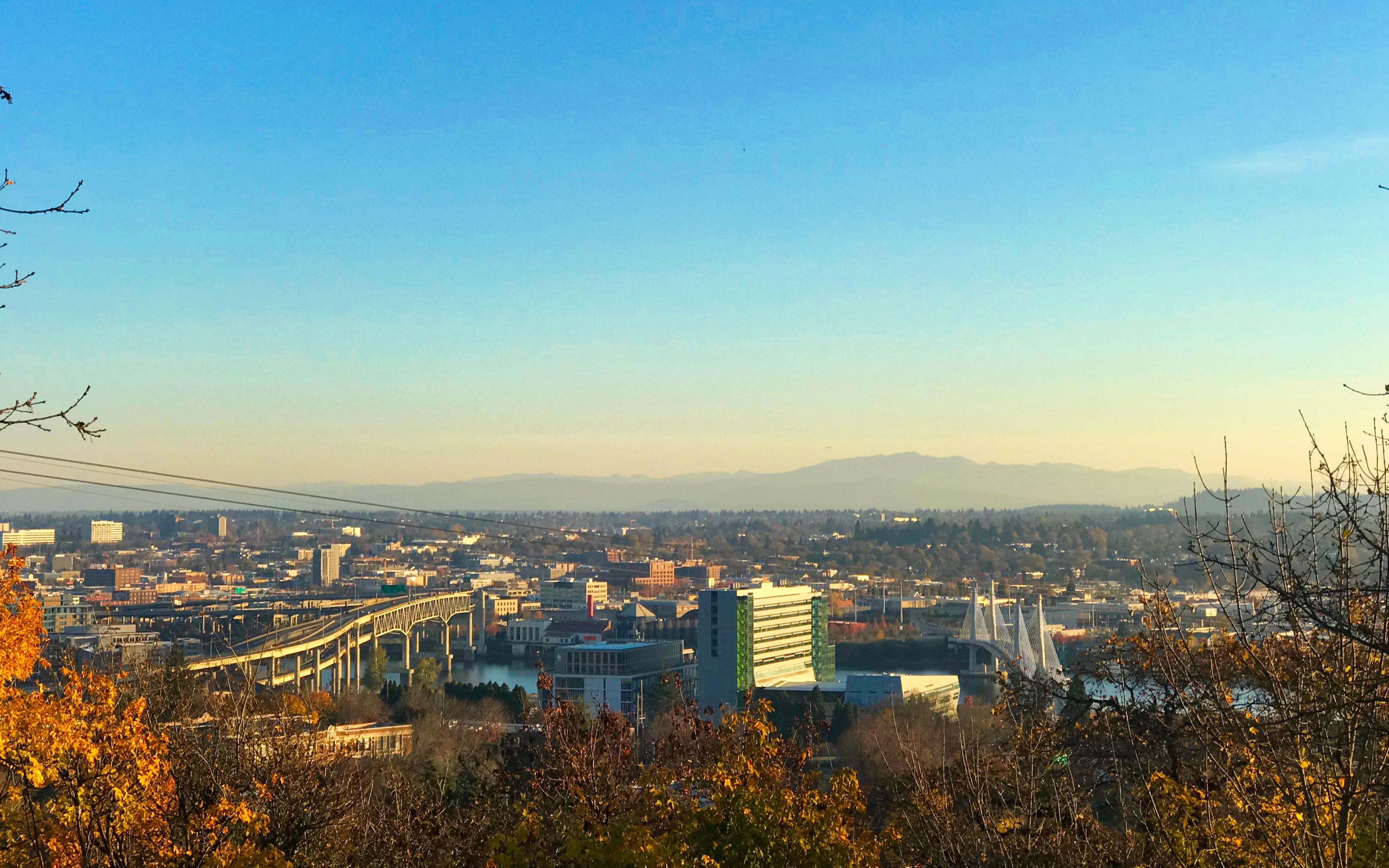 4K, outdoors, building, copy space, oregon, plant, no people, city, skyscraper, day, office building exterior, cityscape, tree, high angle view, united states, HD Wallpaper