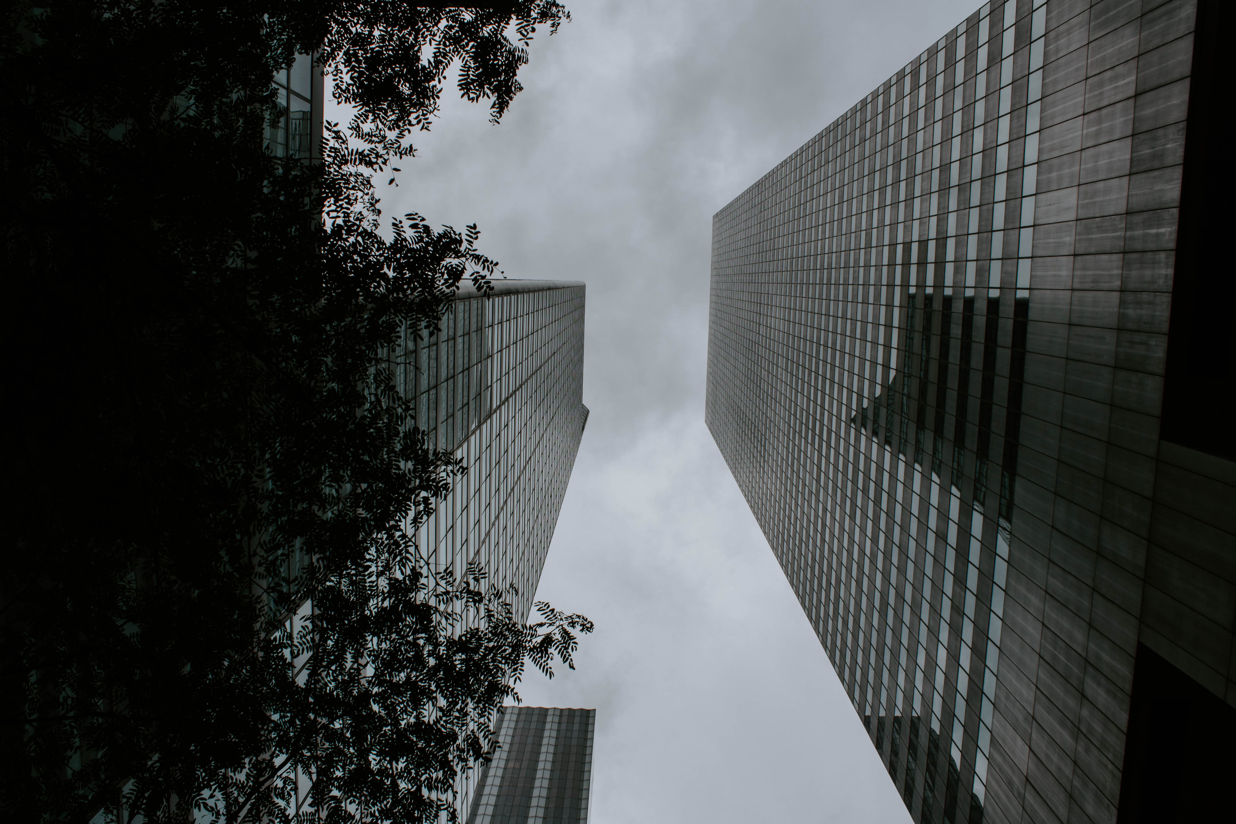 office building, tree, building exterior, plant, skyscraper, city, built structure, cloud - sky, office, 5K, architectural detail, city at night, no people, HD Wallpaper