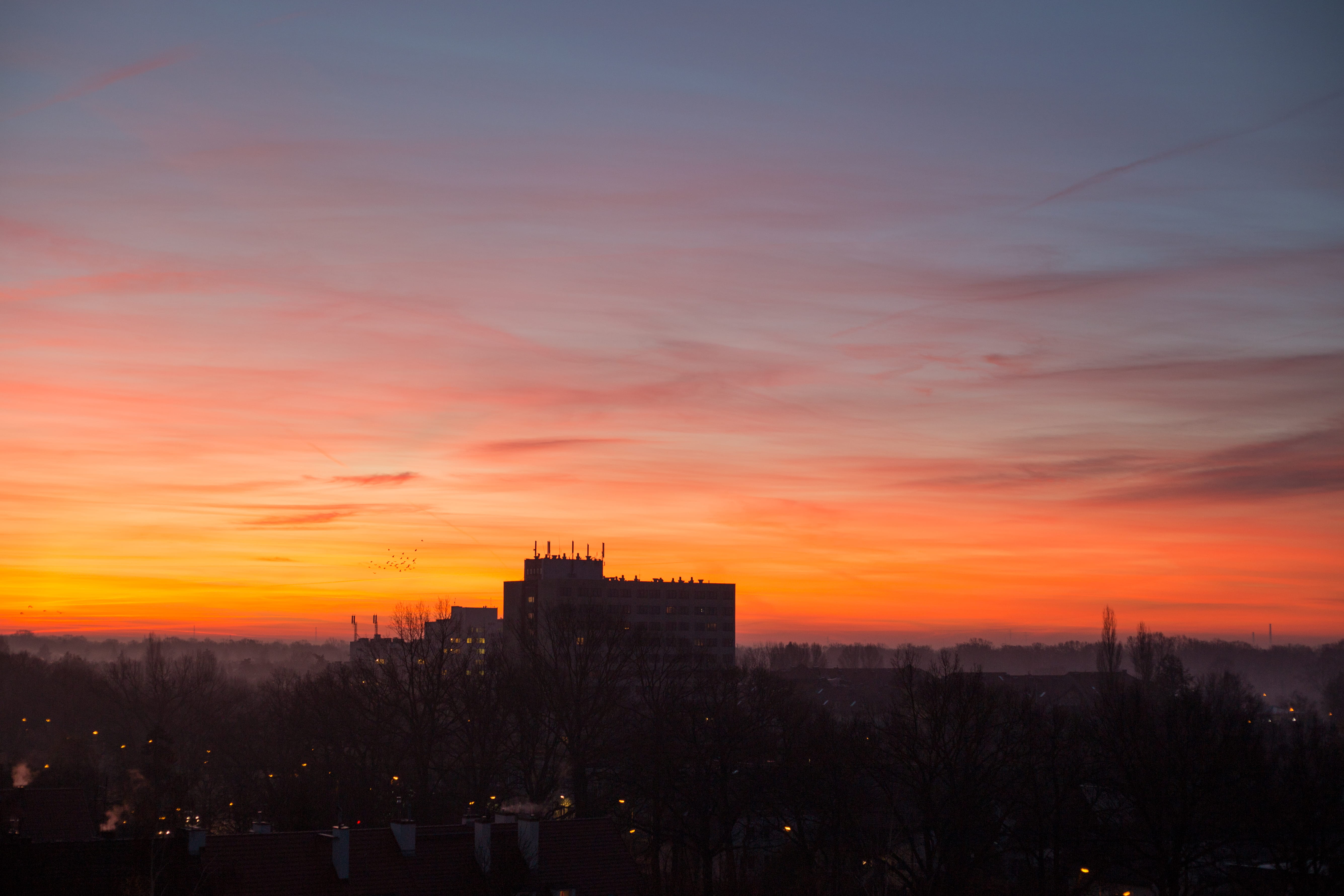 scenics - nature, orange color, cloud - sky, cold, plant, silhouette, built structure, travel destinations, skyporn, sunset, wrocław, sky, early morning, HD Wallpaper
