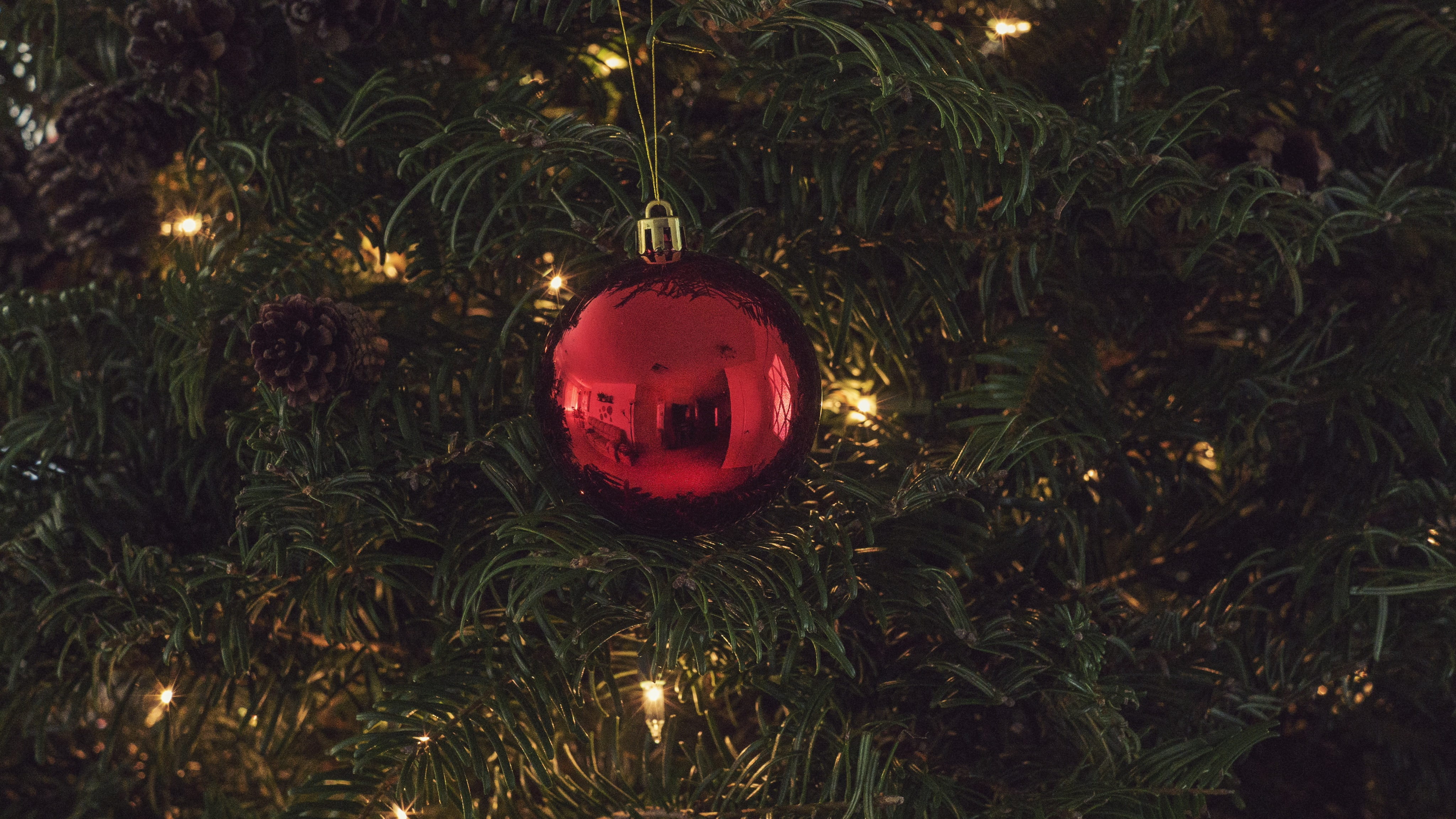 home, glowing, christmas ornament, christmas decoration, hanging, 4K, light, relfections, night, plant, ornament, christmas tree, decoration, no people, HD Wallpaper