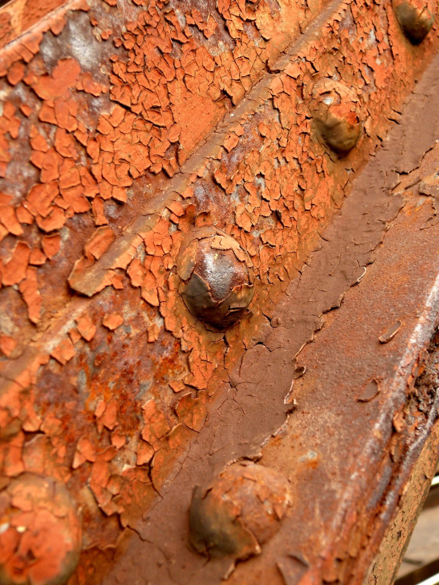 corroded, invertebrate, reptile, rustic, scratched, steel, weathered, metal, aged, Screw, animal wildlife, one animal, rust Fungus, backgrounds, snake, Phone HD Wallpaper