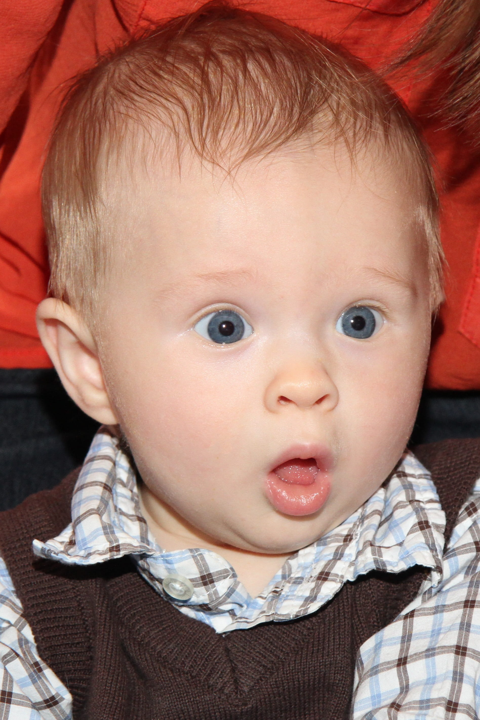 boys, Baby Boy, toddler, mouth open, kid, Expression, emotion, people, human Face, Surprise, small, looking at camera, close-up, Cute, shock, indoors, innocence, Phone HD Wallpaper