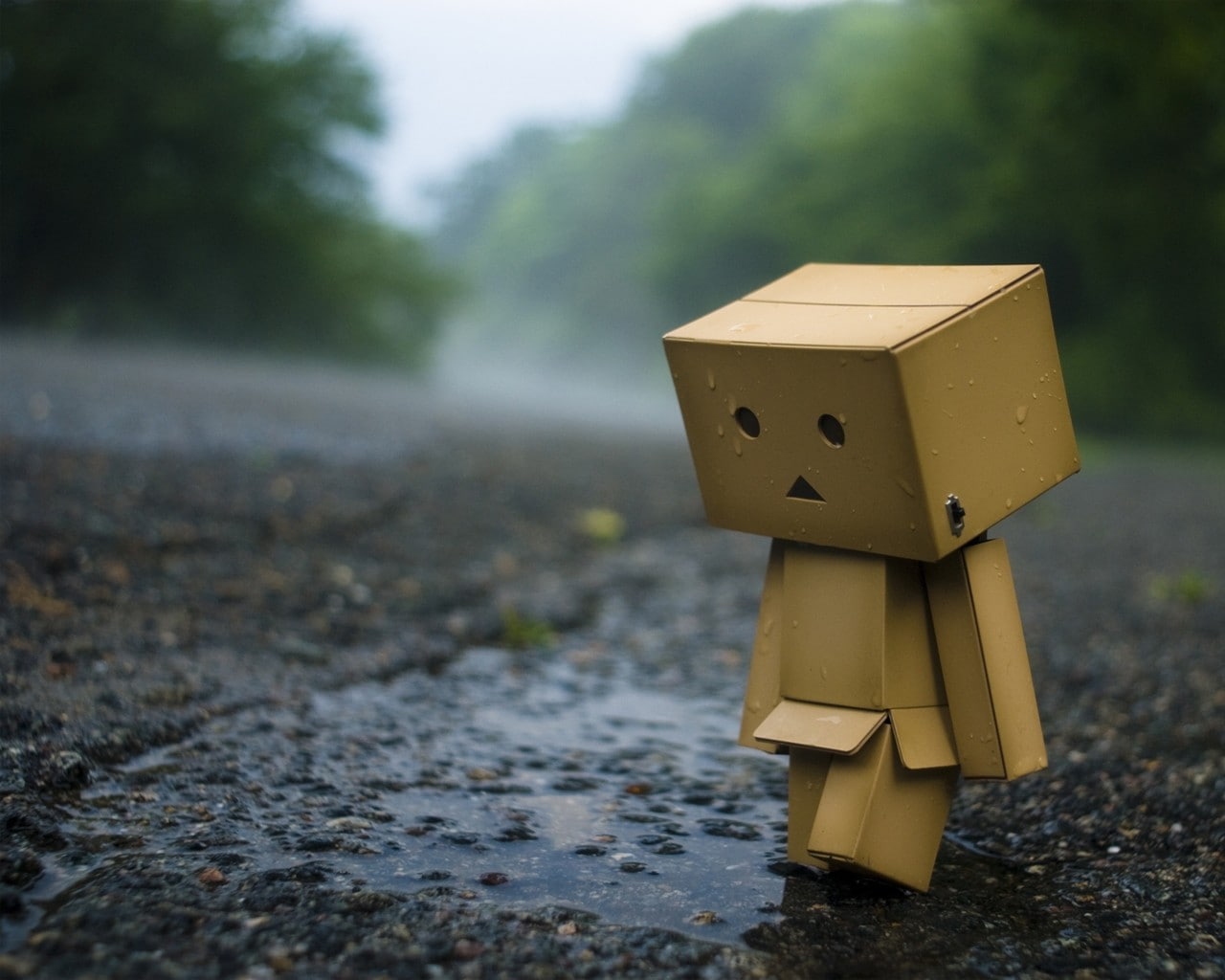 Danbo, 720P, HD Wallpaper