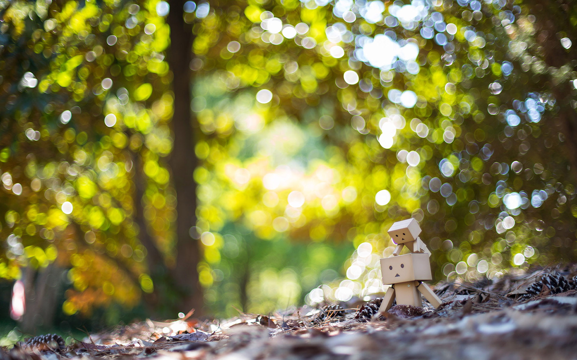 nature, bokeh, 1080P, danbo, hd, HD Wallpaper
