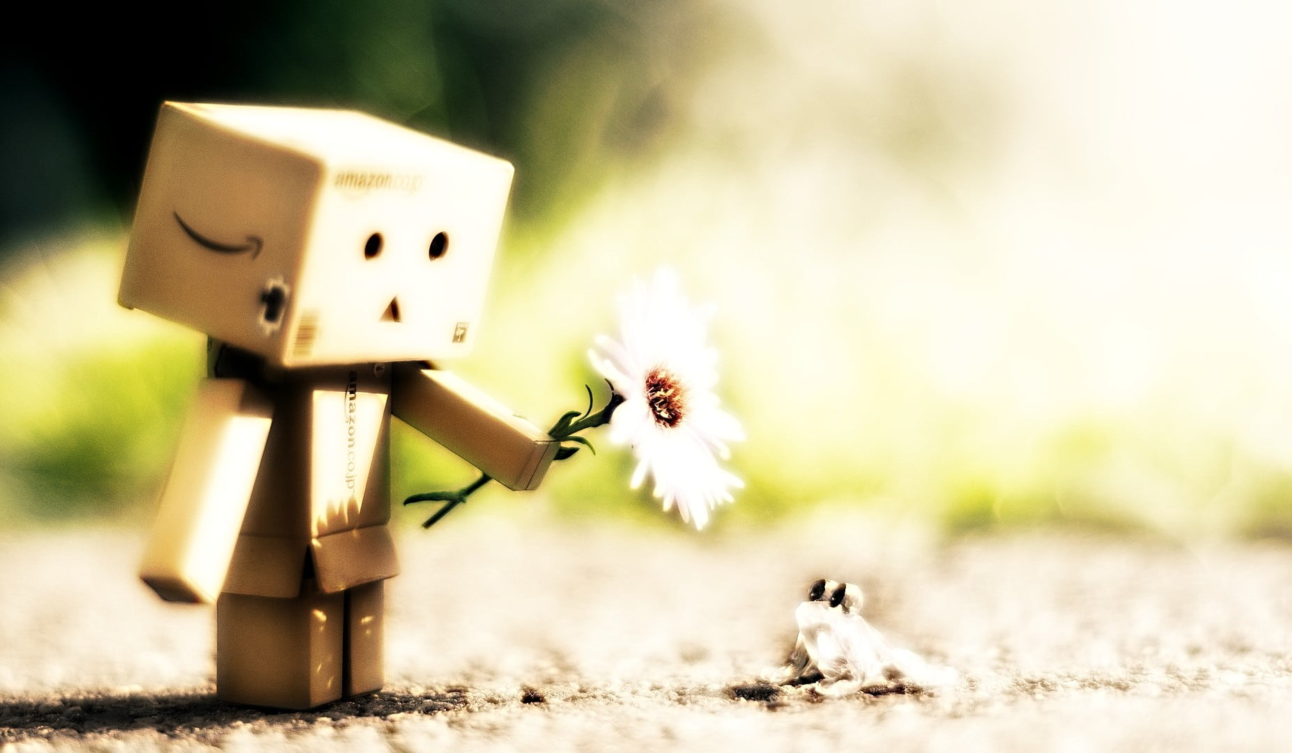 nature, brown, flowering plant, human representation, table, land, focus on foreground, mammal, representation, robot, small, plant, outdoors, white, Danbo, HD Wallpaper