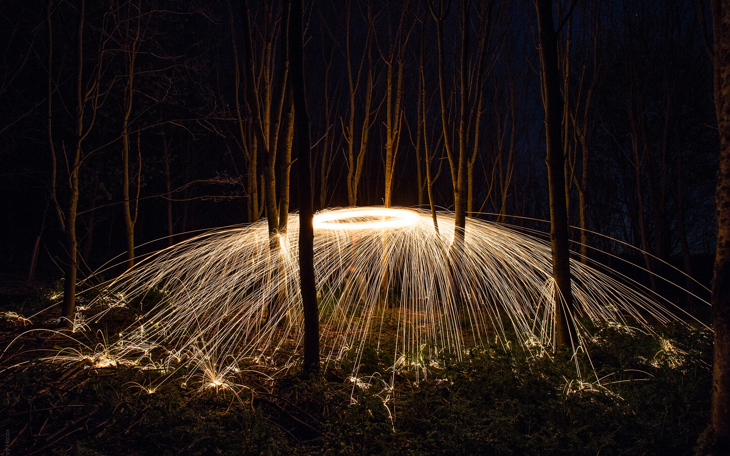 hd, fireworks, nature, night, trees, timelapse, spinning, fire, sparks, 2K, cracker, HD Wallpaper