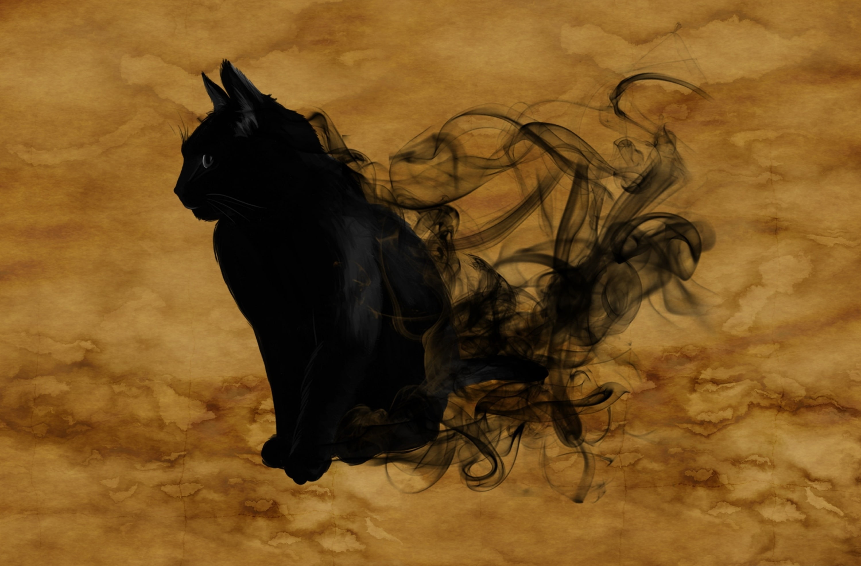 black, water, Mysterious, one animal, Mystical, directly above, blackcat, Smoke, 2K, animal representation, studio shot, Magic, motion, animal themes, HD Wallpaper
