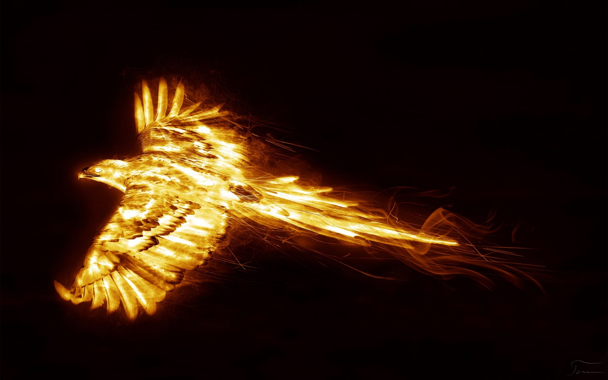 flame, firework, nature, dark, heat - temperature, yellow, black background, fire, glowing, celebration, motion, night, no people, burning, blurred motion, HD Wallpaper