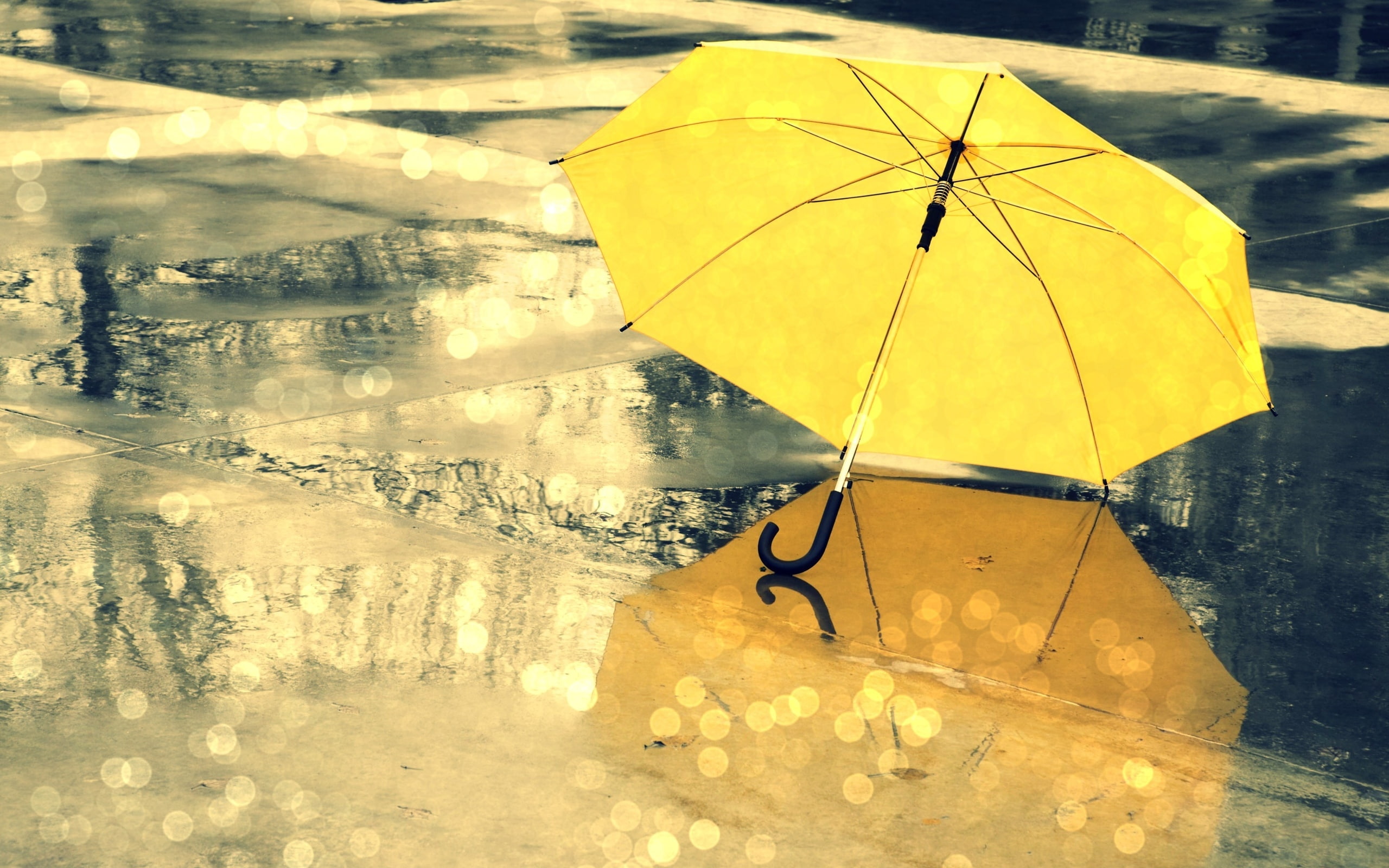 yellow, reflection, 2K, rain, umbrella, water drops, HD Wallpaper