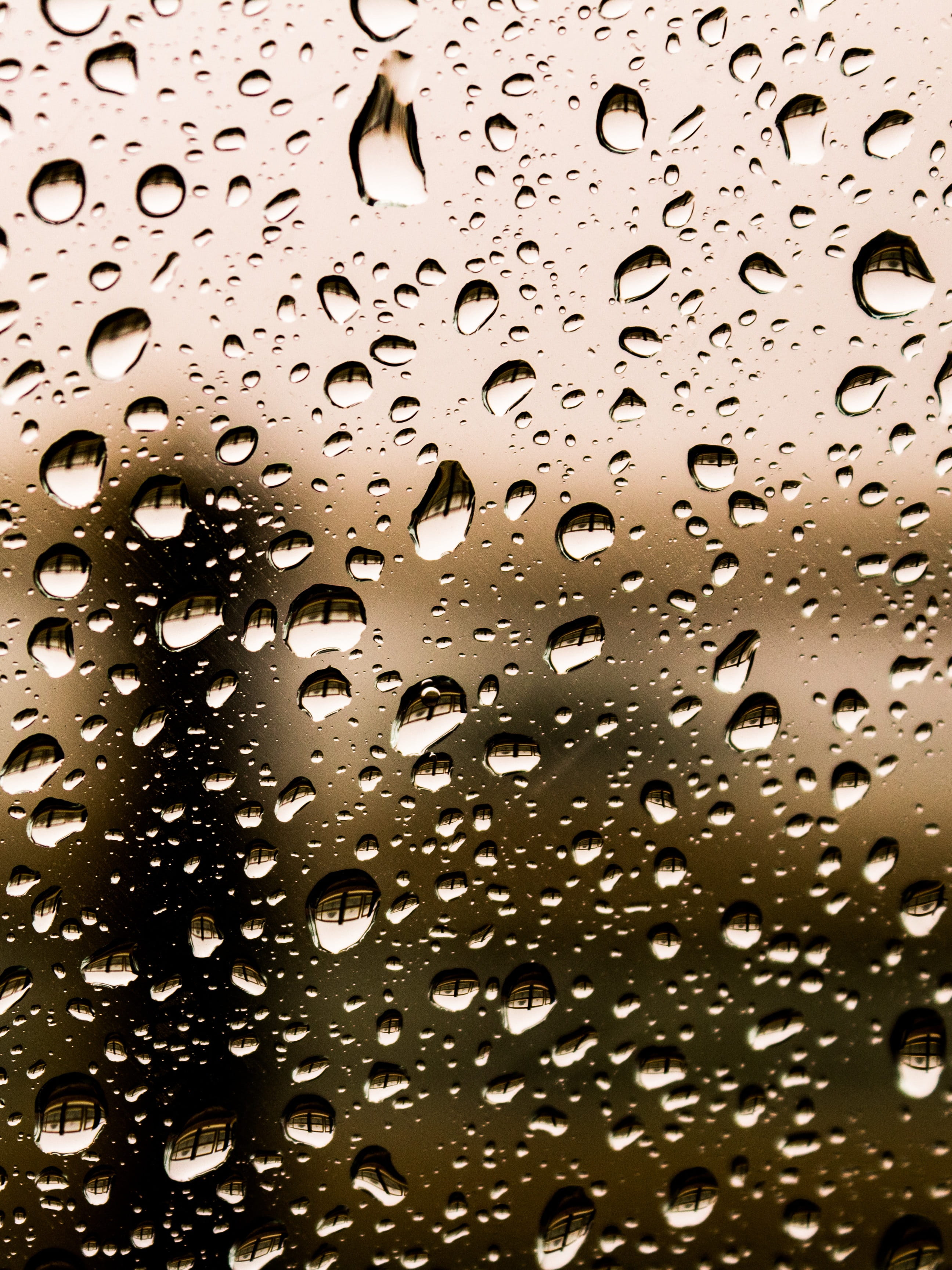photography, drop, clean, no people, texture, 2K, backgrounds, condensation, fresh, day, close-up, full frame, focus, freshness, light, purity, rain, nature, Phone HD Wallpaper