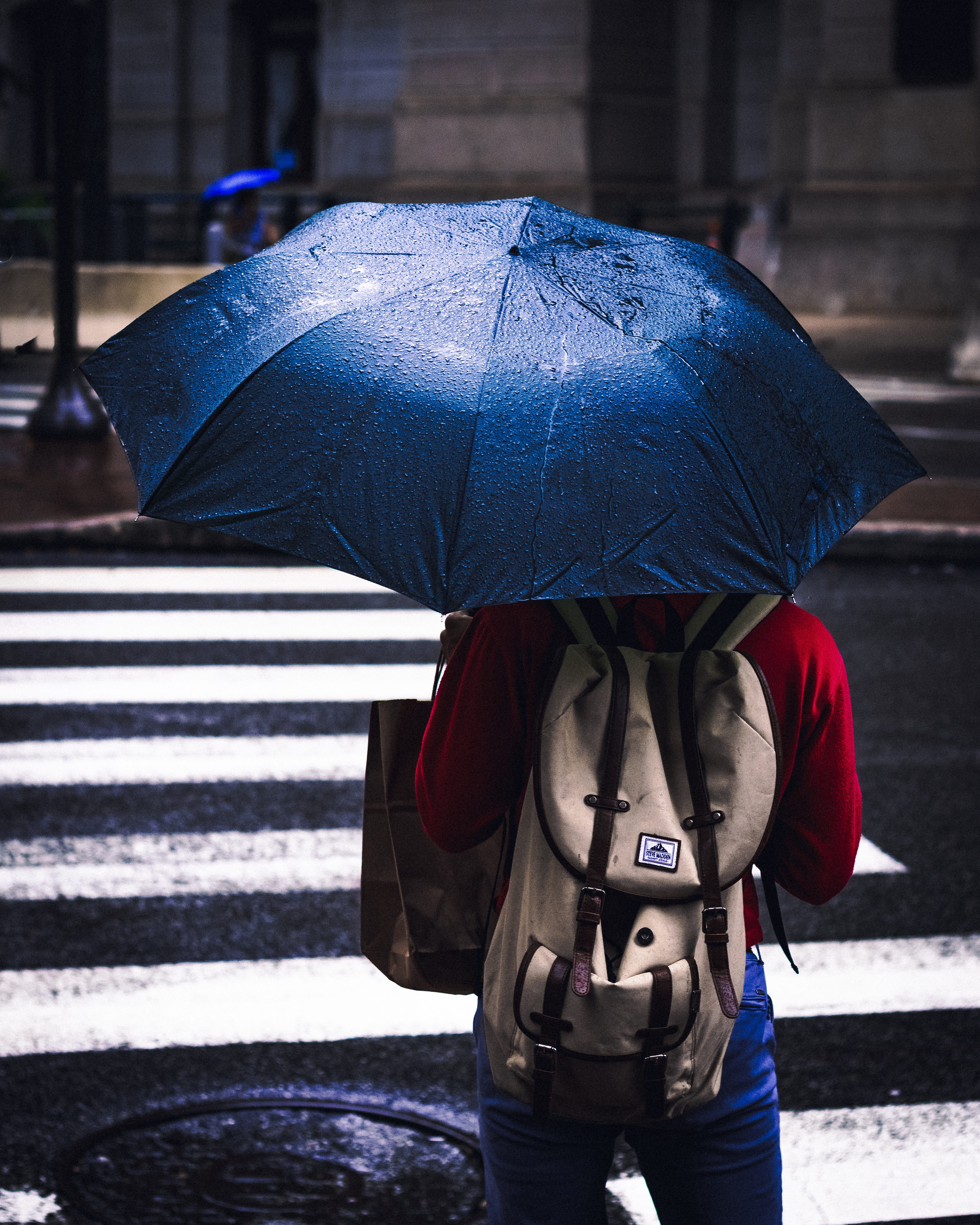 crosswalk, weather, wet, day, storm, men, cloudy, females, philly, protection, blue, city Life, people, outdoors, person, autumn, meteorology, backpack, Phone HD Wallpaper