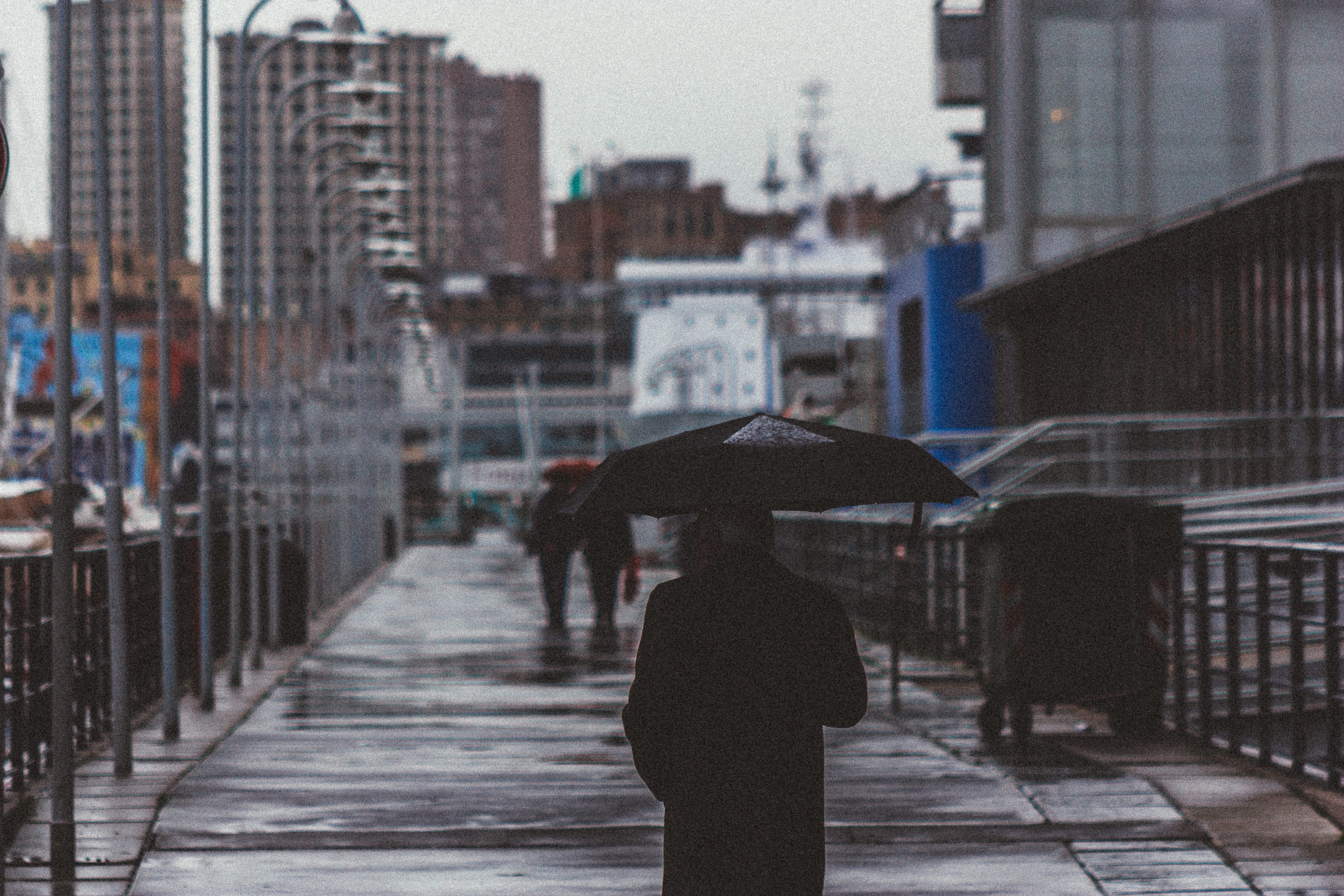 built structure, city, rain, genova, silhouette, city life, adult, woman, urban, building, walking, holding, protection, mood, street, path, streetart, HD Wallpaper