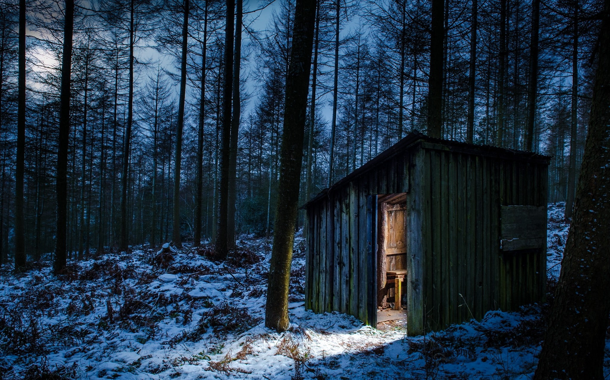 day, trunk, nature, plant, snow, built structure, winter, tranquility, cabin, landscape, cold, wood - material, architecture, trees, woodland, no people, HD Wallpaper