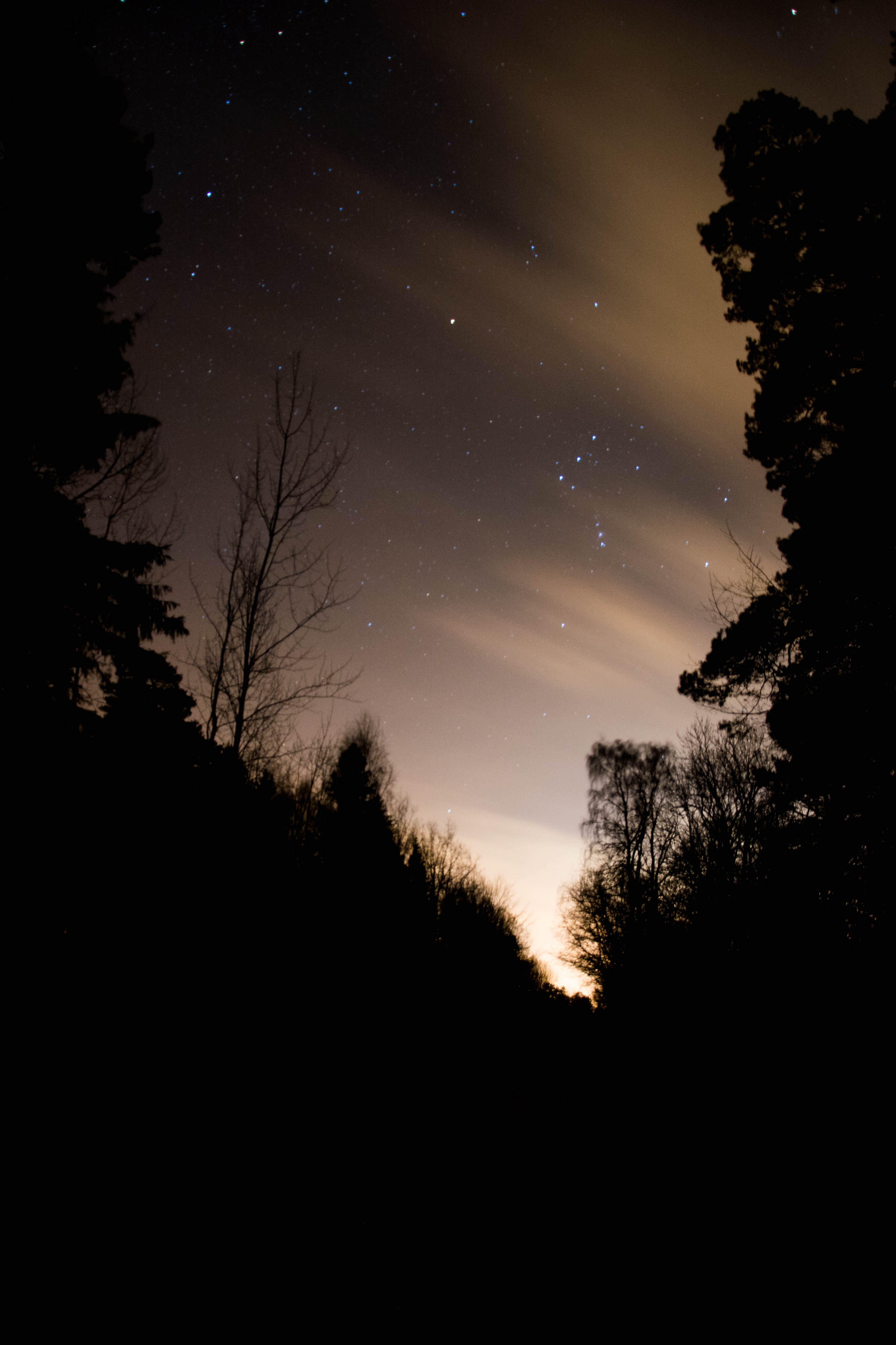 outdoors, astronomy, dutchmen cap, silhouette, scenics - nature, no people, nightime, 5K, beauty in nature, stars, space, moonlight, forest, sky, nordic, Phone HD Wallpaper