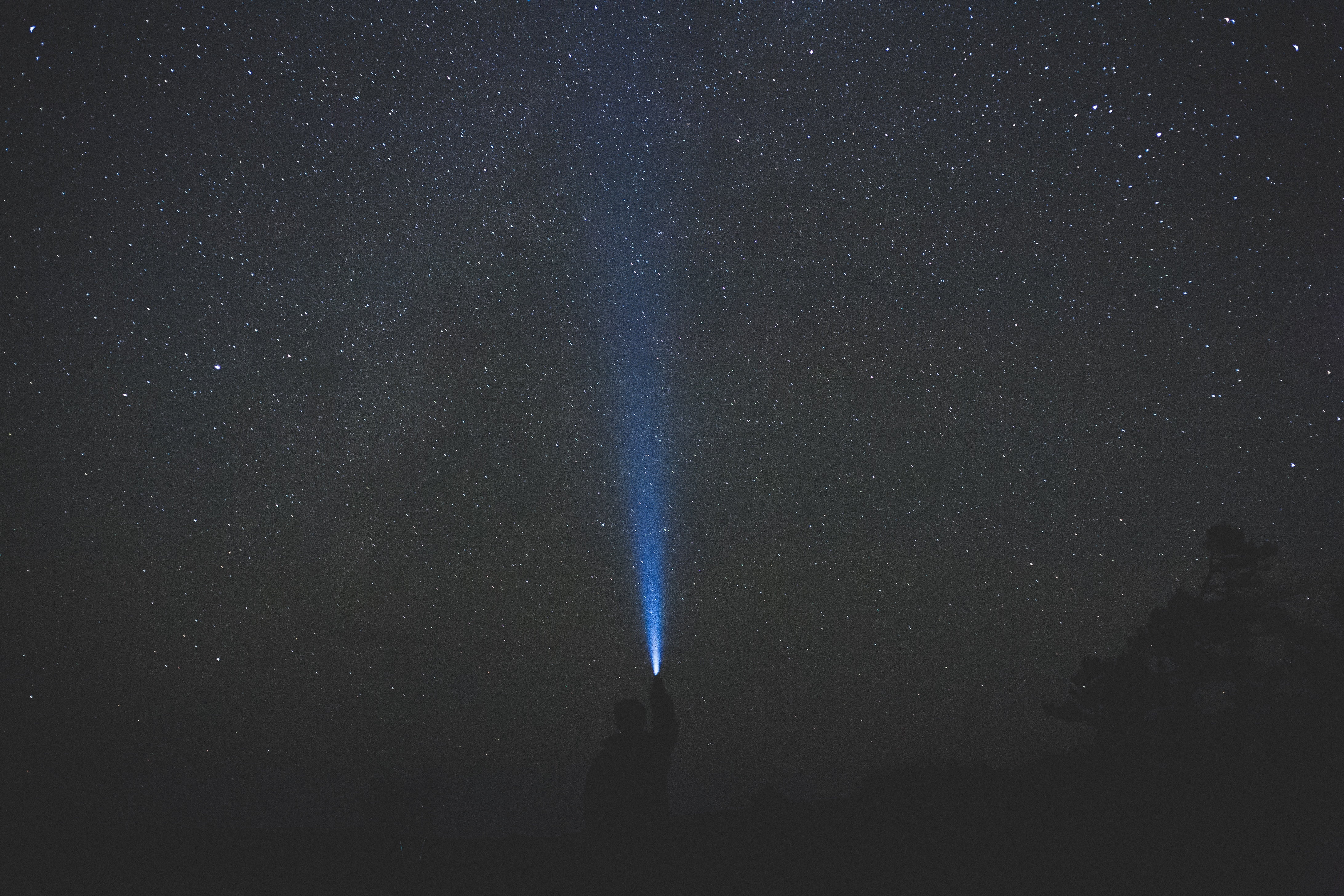 light beam, star, clear, flashlight, star field, science, atmosphere, real people, night, tree, star - space, silhouette, people, milky way, no people, HD Wallpaper