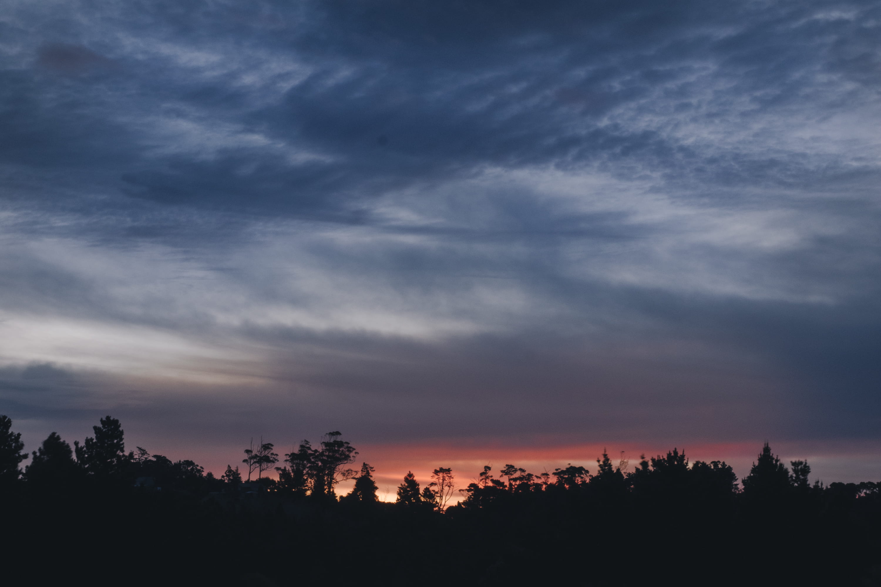 idyllic, nightime, forest, nature, moody, tranquility, cloudy, non-urban scene, cloud - sky, tree, dark, 2K, plant, environment, trees, growth, silhouette, HD Wallpaper