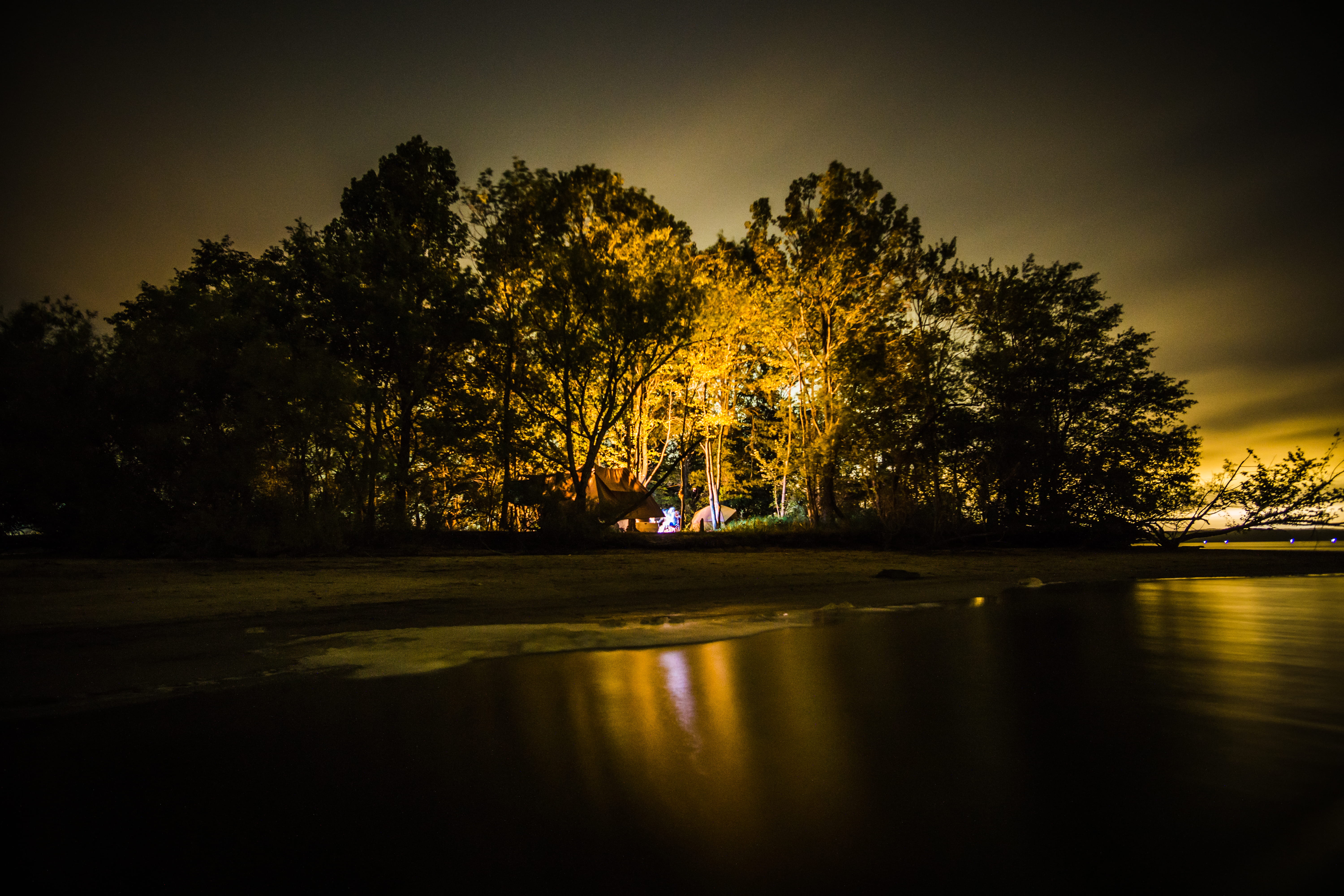 one person, nightime, campfire, beauty in nature, scenics - nature, tree, 5K, lakeview, campfires, night, real people, tranquil scene, water, tranquility, HD Wallpaper