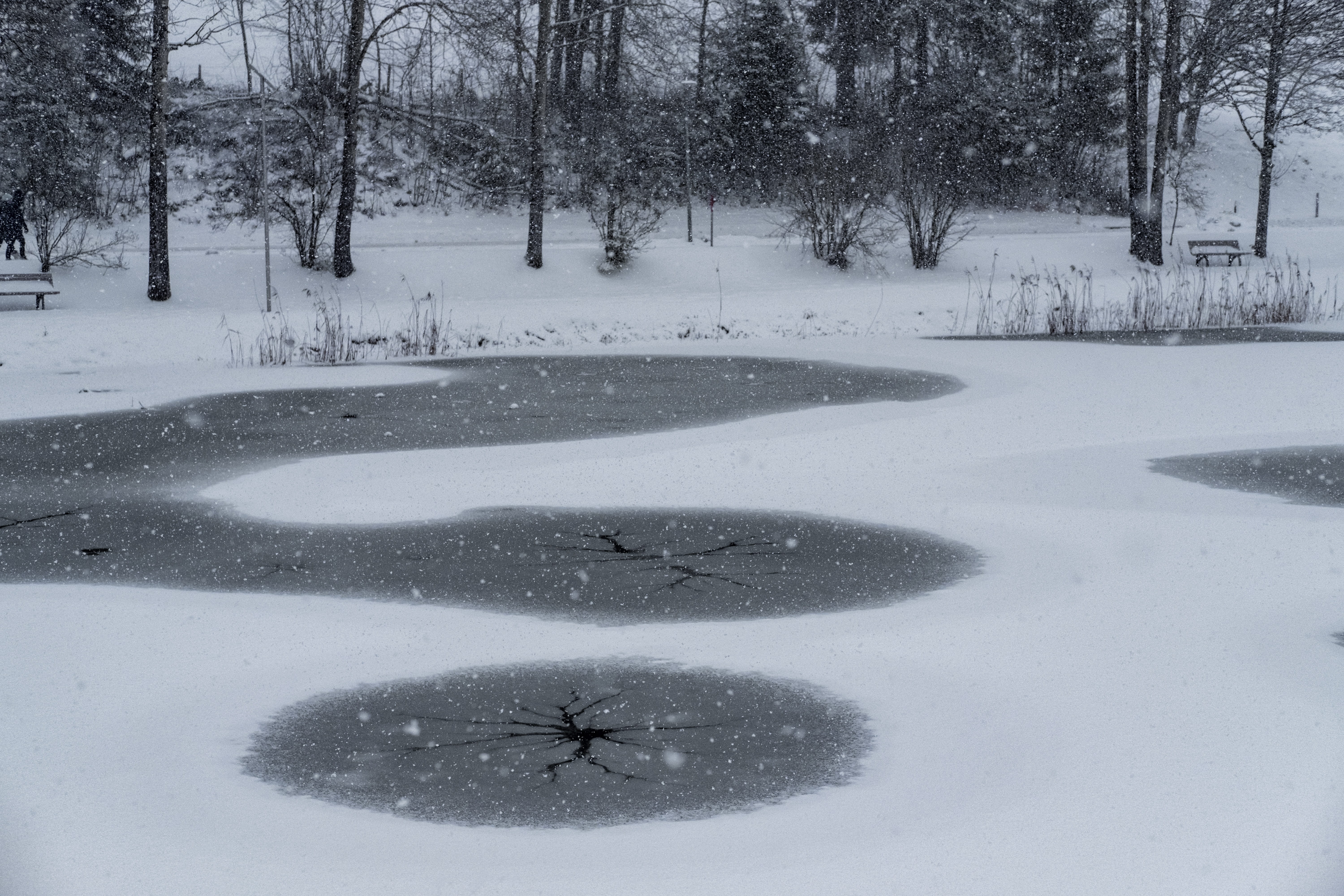 frozen, snow, burglary, beauty in nature, frozen ice cream, covering, white color, water, frost, plant, tranquility, dangerous, scenics - nature, no people, HD Wallpaper