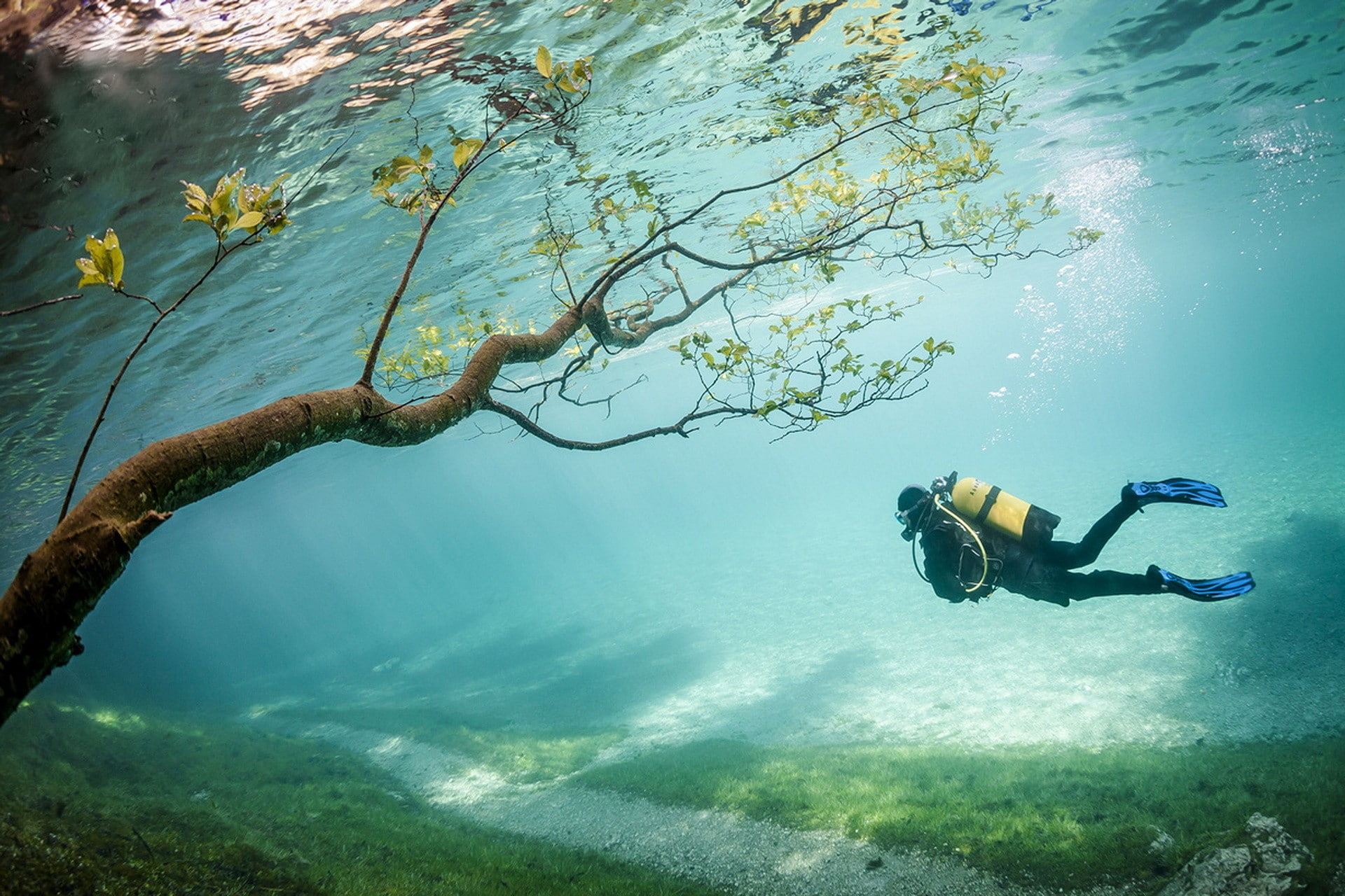 diver, green, Lake, trees, 1080P, men, s, suit, Austria, diving, HD Wallpaper
