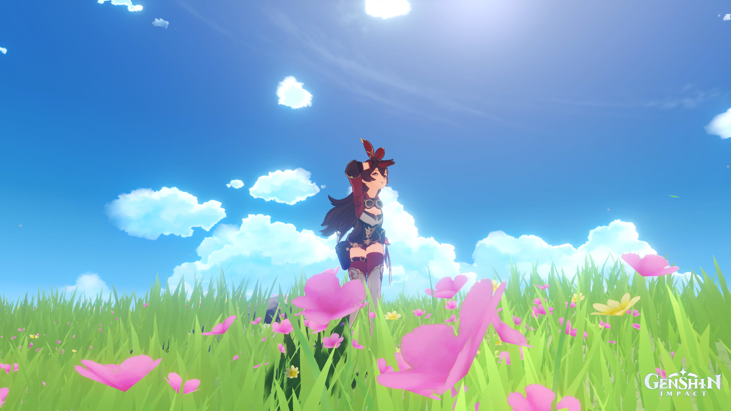 flowers, 2K, grass, sky, Genshin Impact, amber, HD Wallpaper