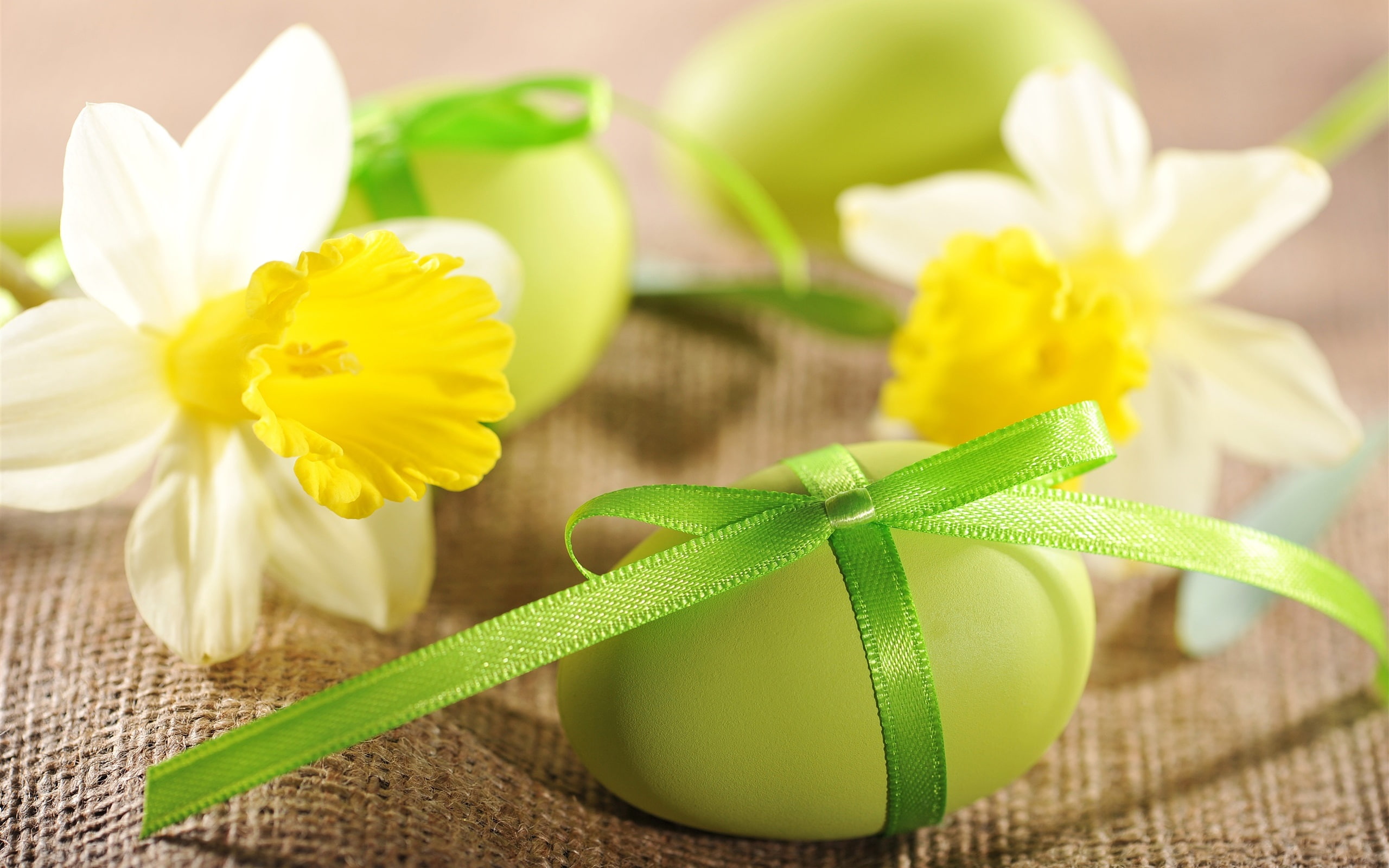2K, Eggs, Easter, Flowers, Daffodils, HD Wallpaper