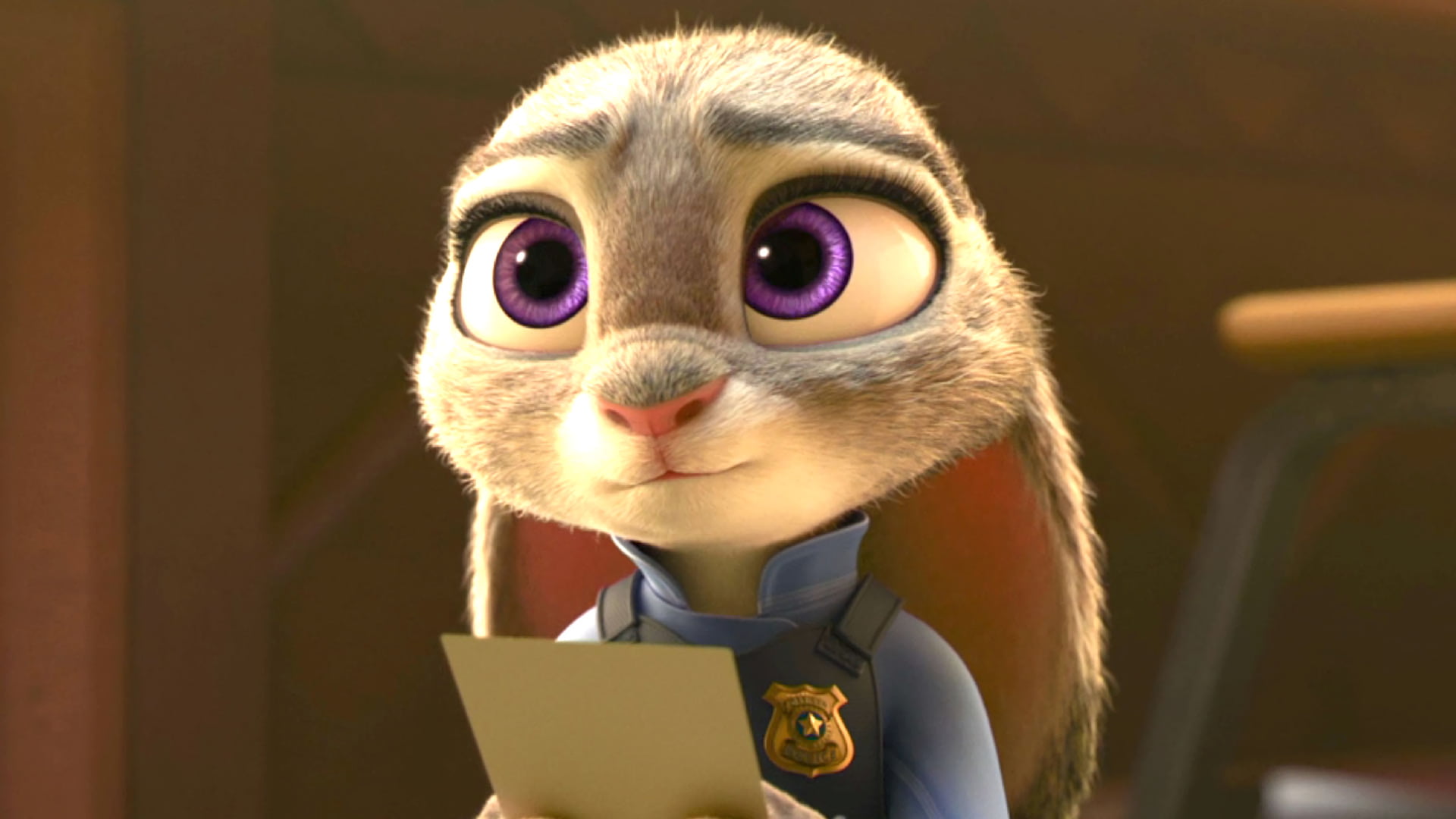 day, bird of prey, indoors, Zootopia, obscured face, looking at camera, portrait, focus on foreground, animal wildlife, Movie, bird, one person, headshot, HD Wallpaper