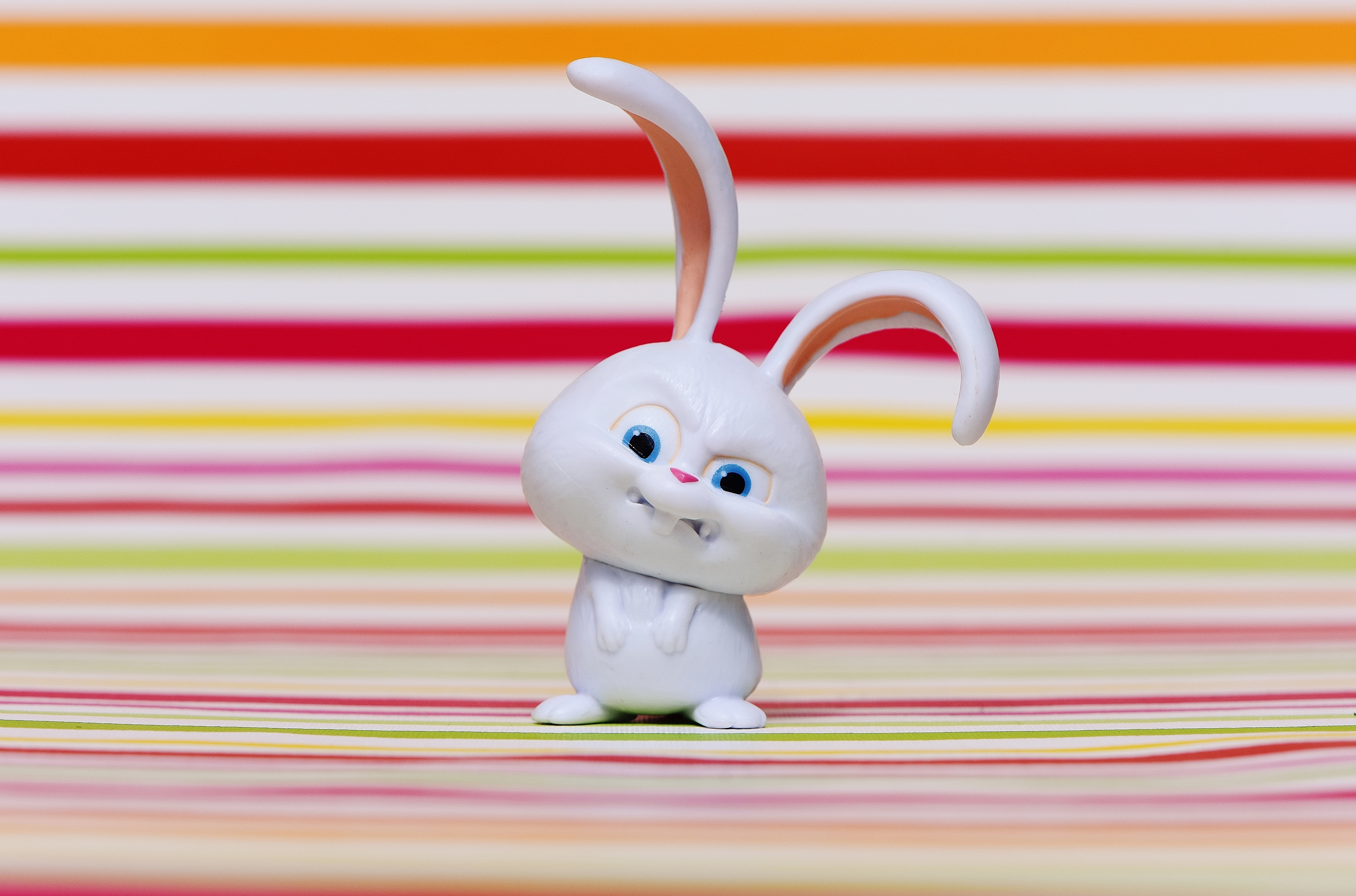 hare, snowball, funny, pets, close-up, human representation, creativity, table, art and craft, animal, fun, 5K, white color, still life, evil, stuffed toy, HD Wallpaper