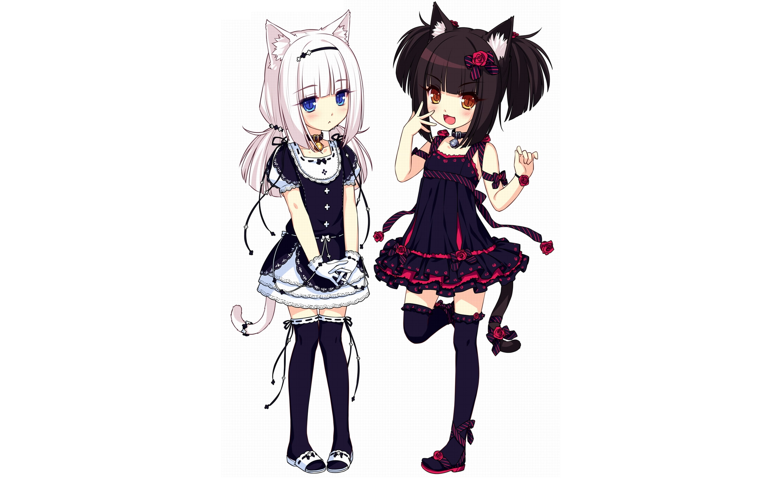 loli, anime, anime girls, animal ears, 2K, Neko Para, cat girl, HD Wallpaper