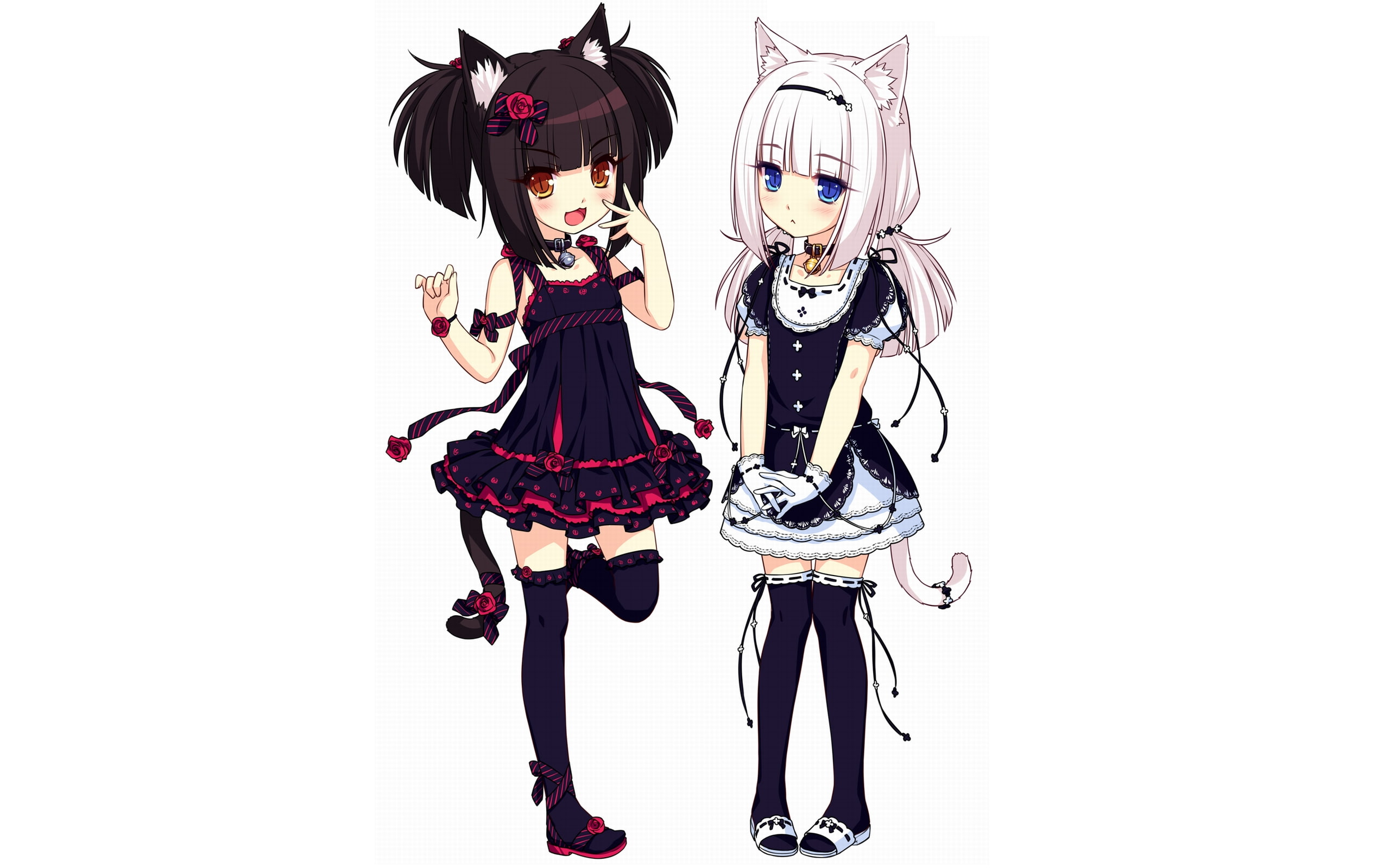 Anime Girls, Neko Para, Animal Ears, loli, 2K, HD Wallpaper
