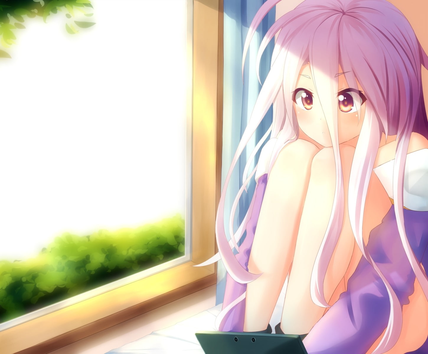 anime, 720P, long hair, loli, Shiro (No Game No Life), window, Nintendo 3DS, No Game No Life, anime girls, HD Wallpaper