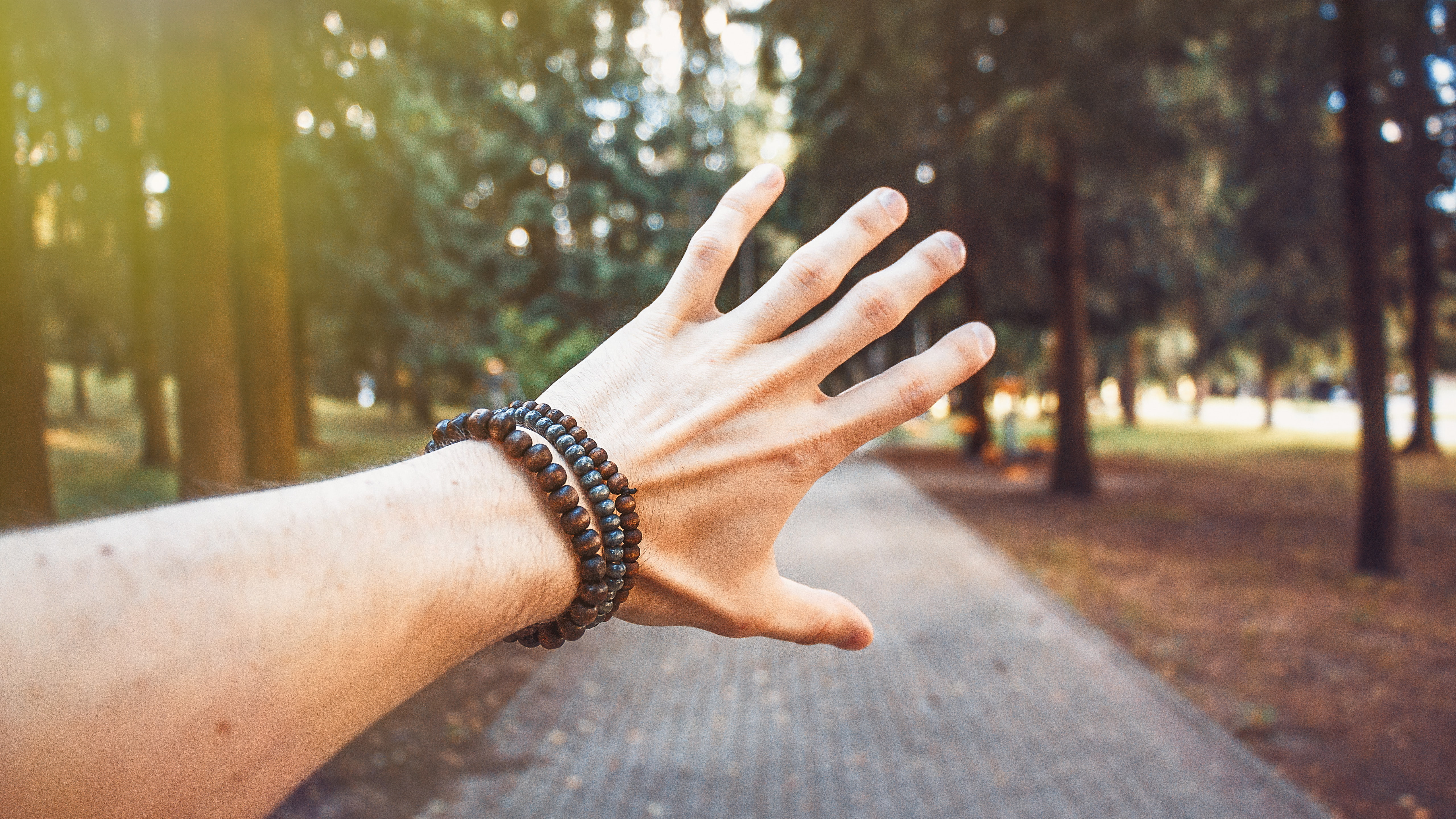 outdoors, bracelets, forest, close-up, human hand, plant, lifestyles, finger, one person, nail, tree, day, bracelet, focus on foreground, nature, adult, HD Wallpaper