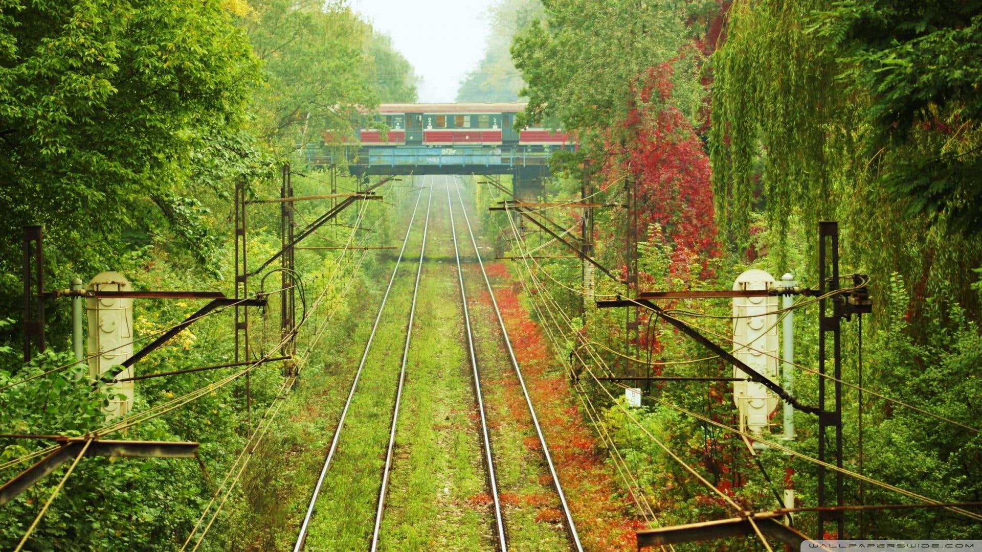 tracks, trees, overpass, train, passing, cars, 1080P, HD Wallpaper