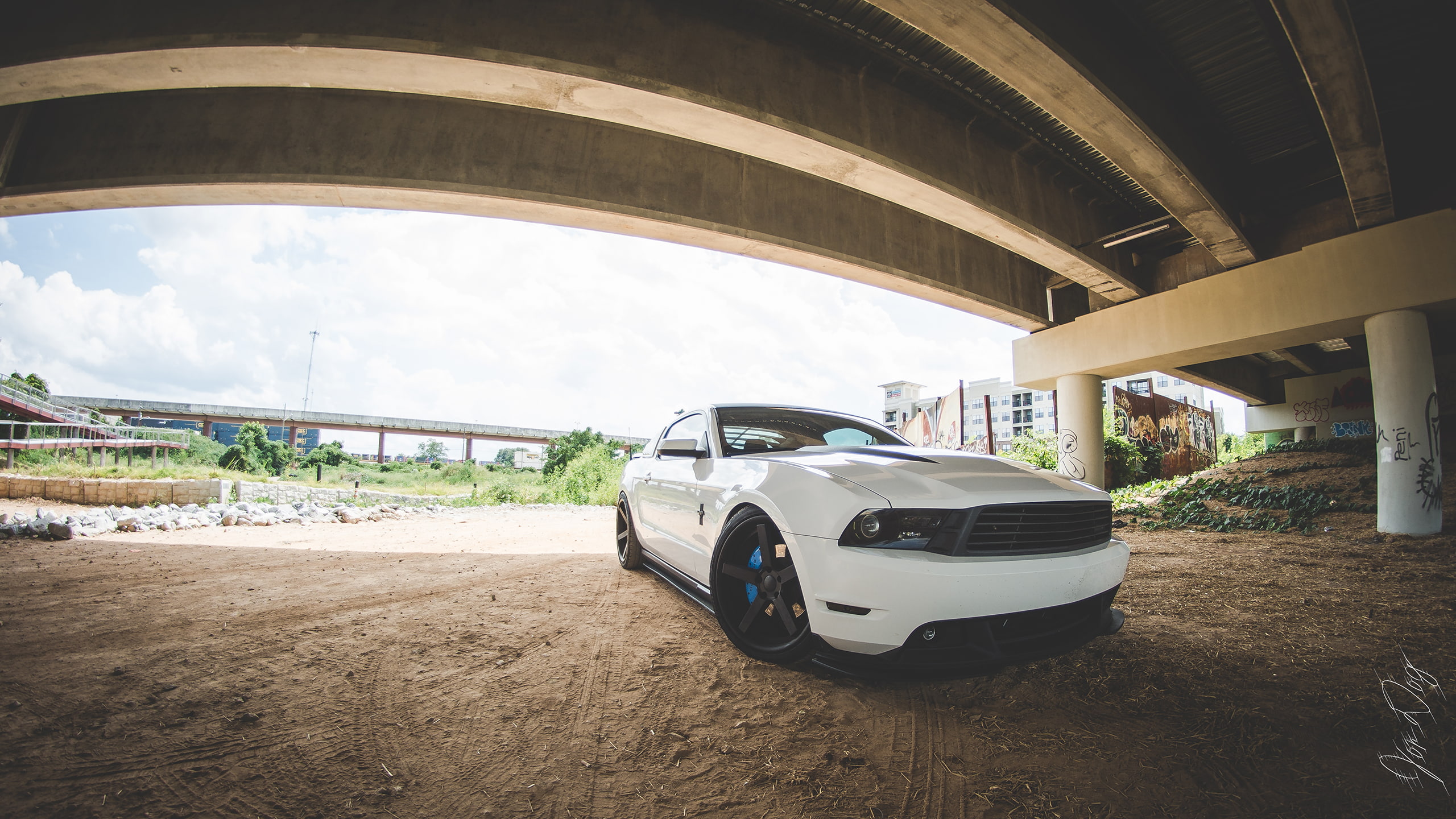 overpass, ford, hd, 2K, white, cars, mustang, fisheye, dirt, HD Wallpaper