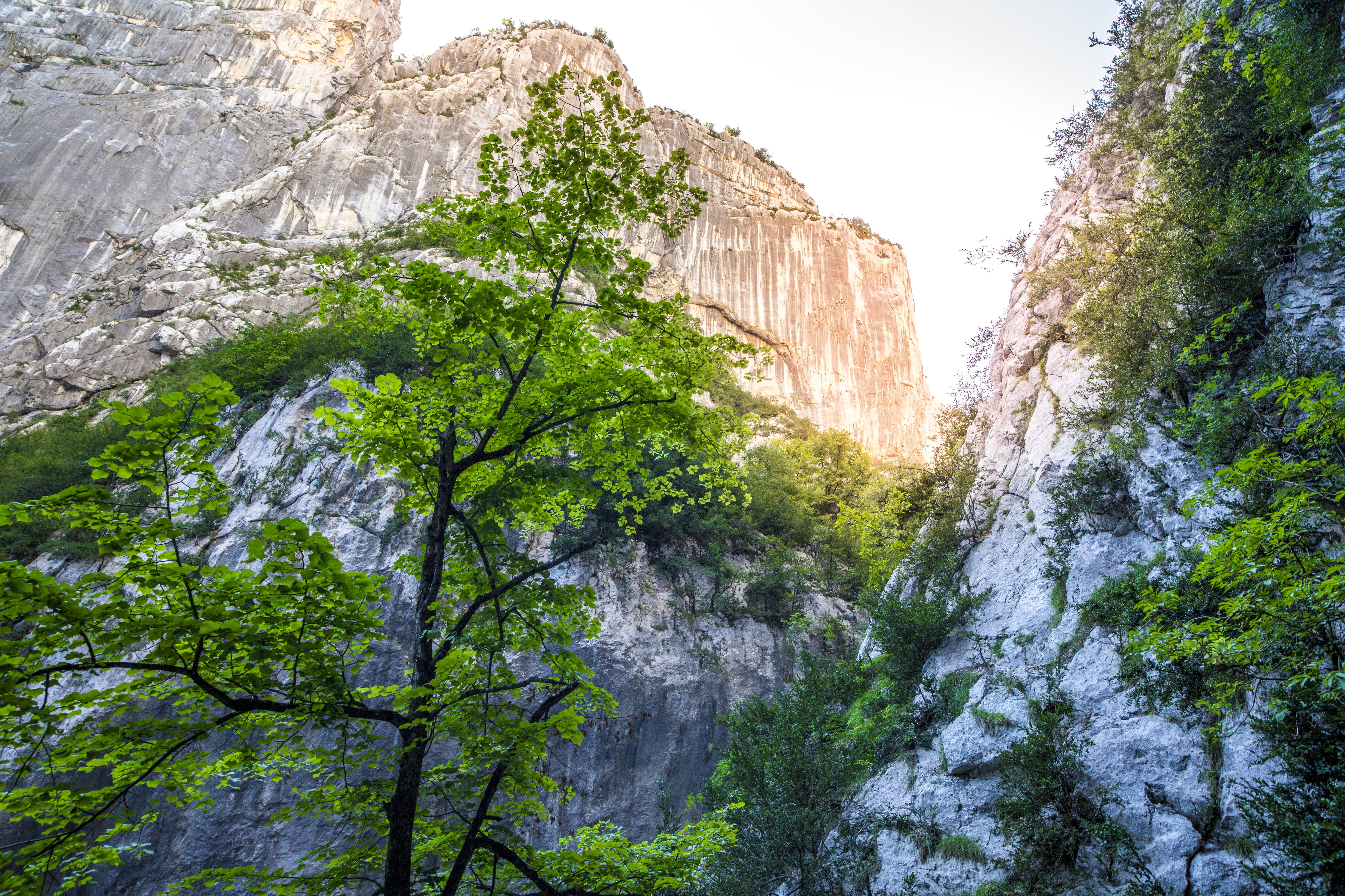 outdoors, cliff, scenics - nature, france, beauty in nature, rocky mountains, verdon, eroded, no people, water courses, 5K, rock, day, tree, south of france, HD Wallpaper