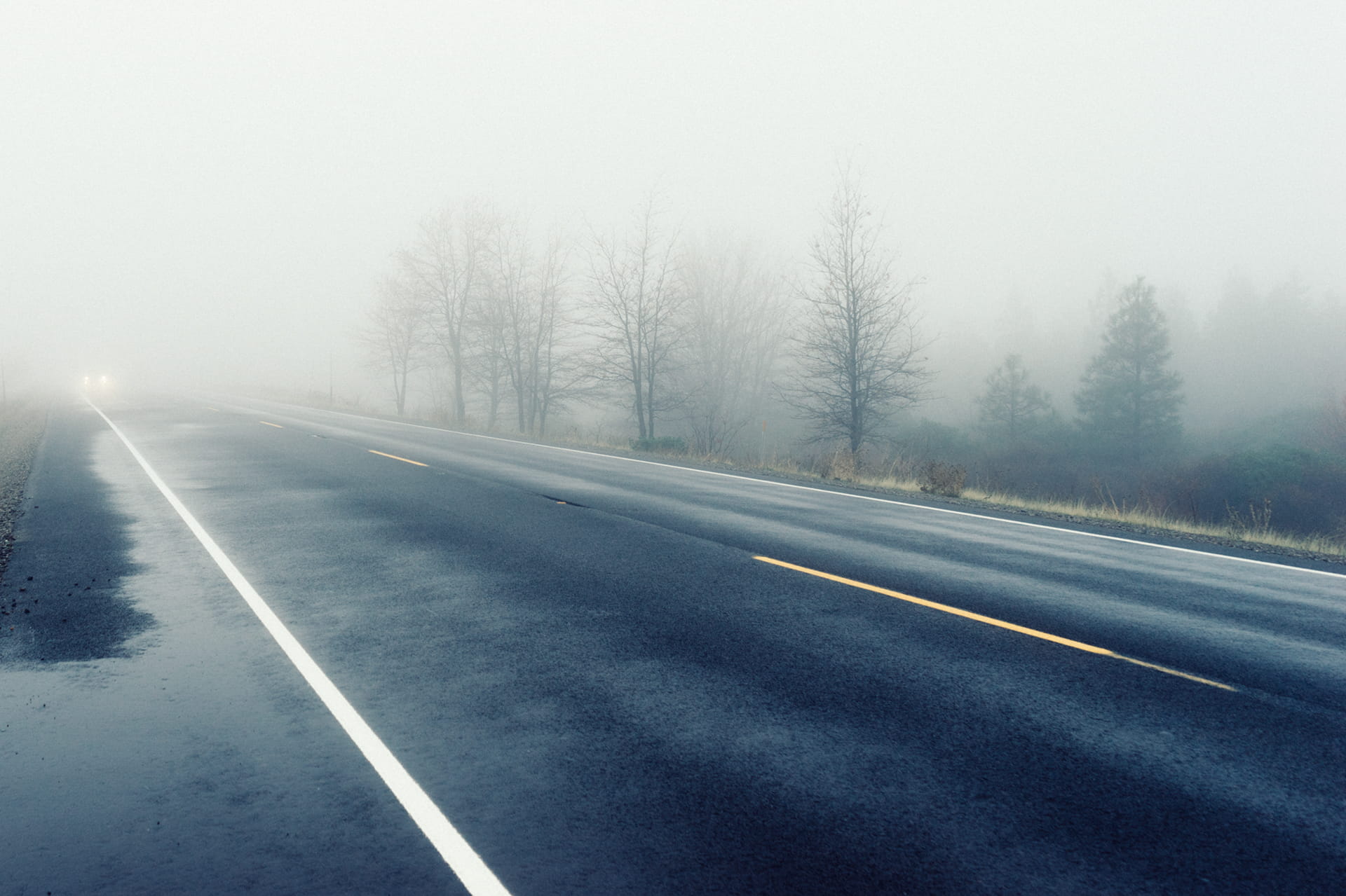 sign, gray, no People, outdoors, landscape, concrete road, near, 1080P, black, tree, country, road, white, trees, highway, nature, asphalt, transportation, HD Wallpaper