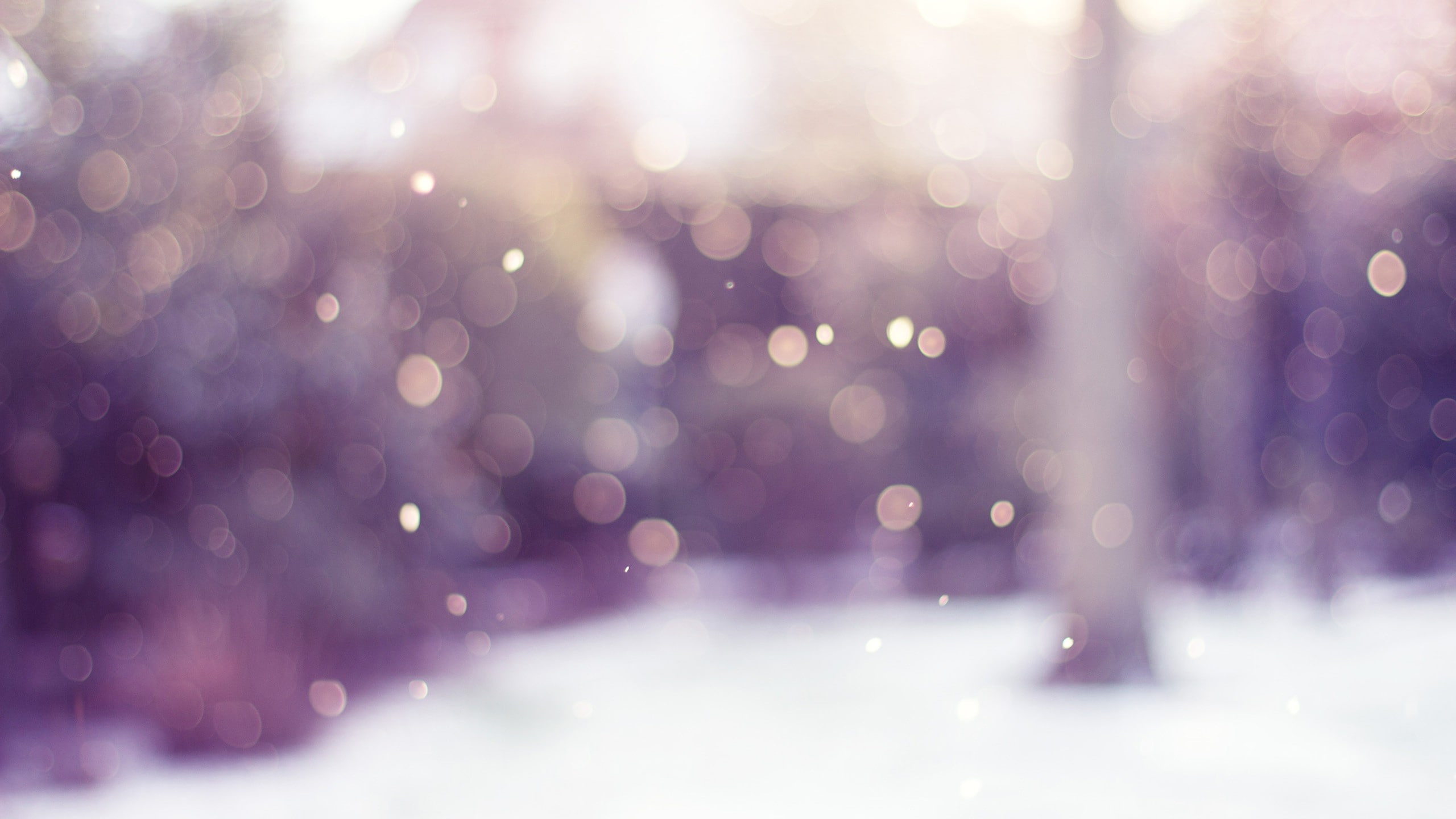 lights, snow, winter, bokeh, blurred, 2K, circle, HD Wallpaper