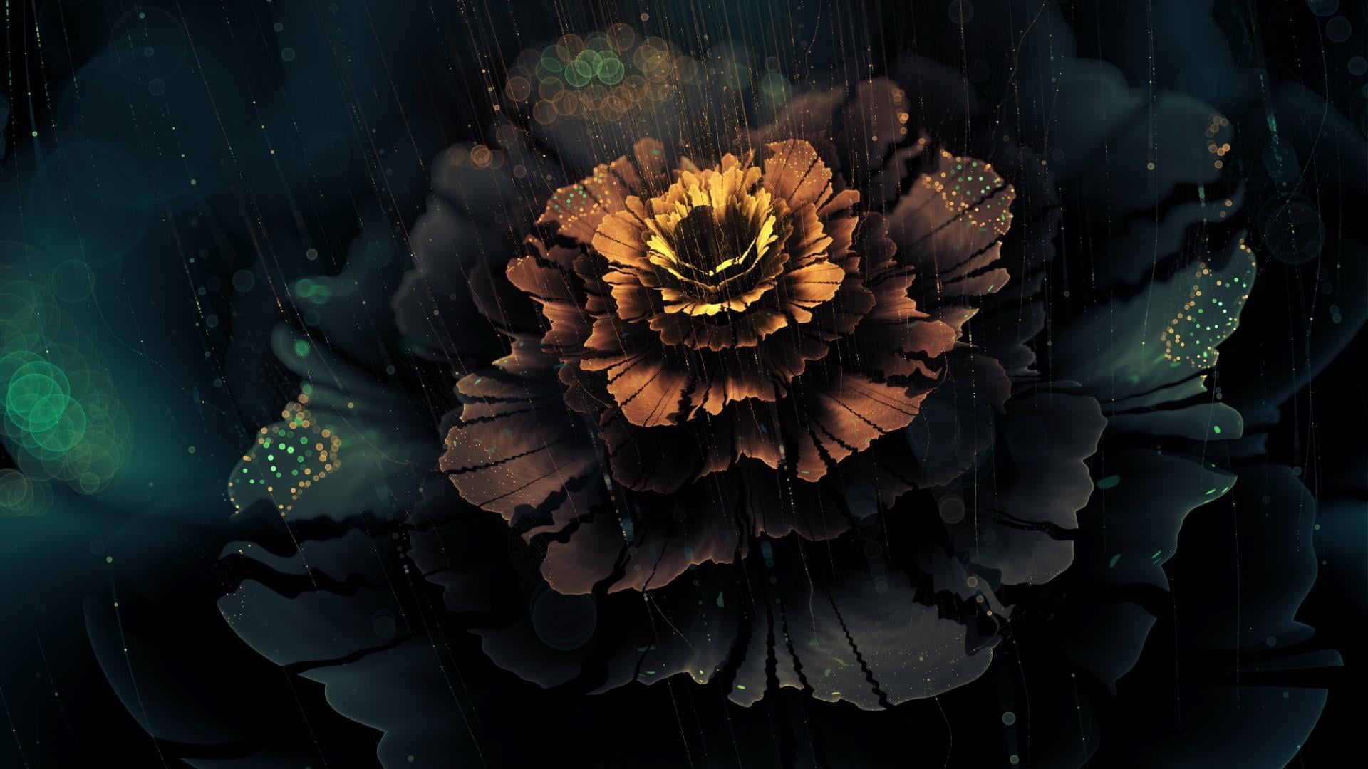 fragility, lights, flowering plant, no people, plant, nature, digital composite, flower arrangement, flower, floating on water, high angle view, petal, HD Wallpaper