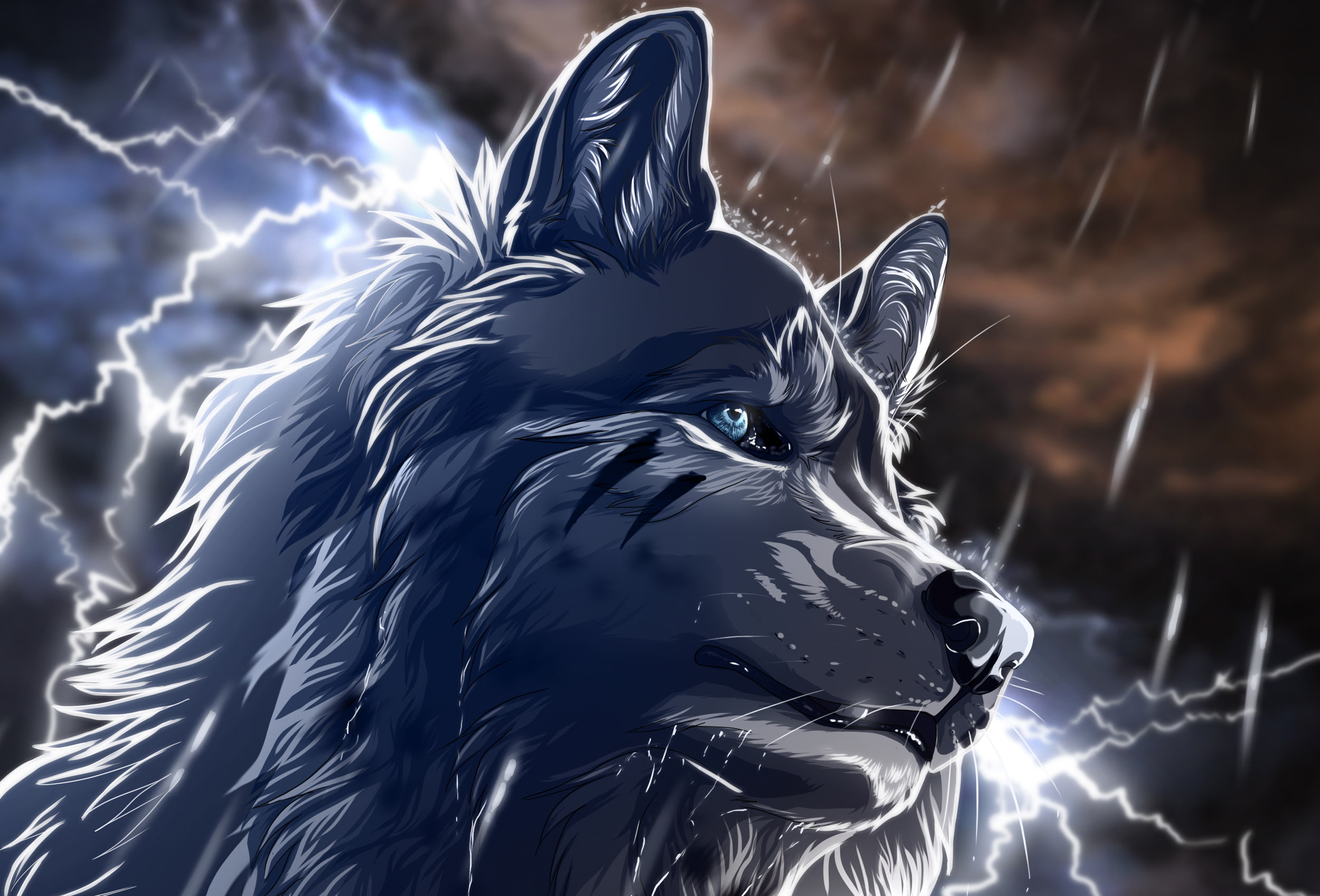 1080P, rain, anime, wolf, HD Wallpaper