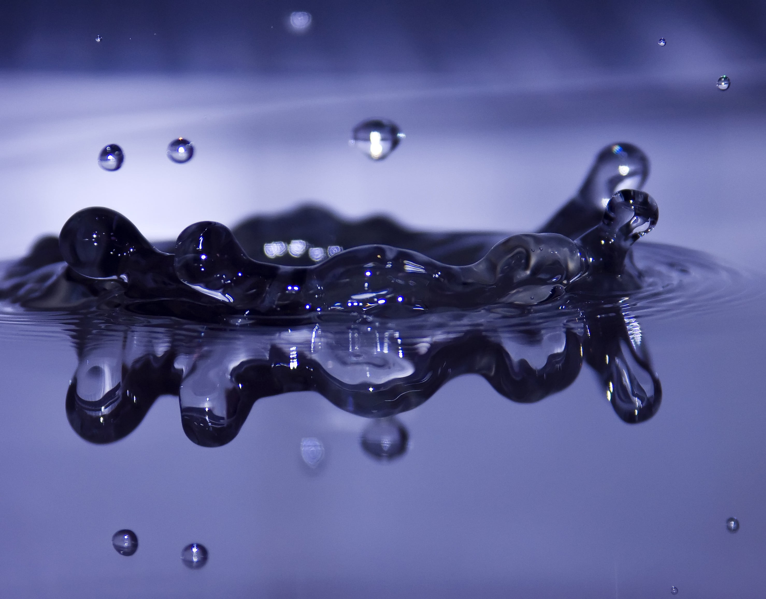 indoors, 2K, white, cold - Temperature, nature, water Surface, freshness, backgrounds, blue background, rippled, shape, transparent, purity, clean, droplet, HD Wallpaper
