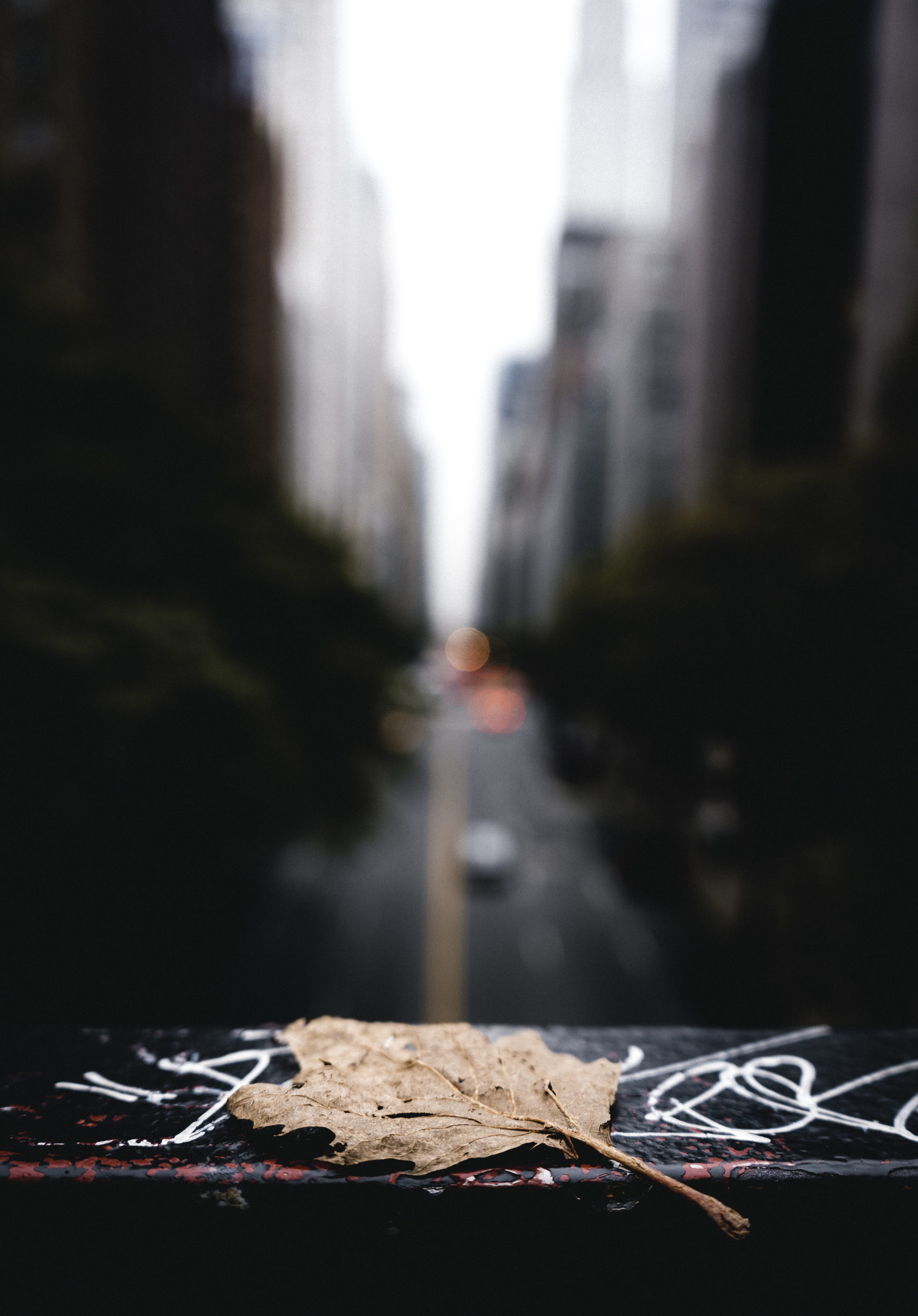 fall, outdoors, cityscape, transportation, city Life, leaf, autumn, photography, urban Scene, background, street, moody, dirty, mood, one Person, rainy, Phone HD Wallpaper